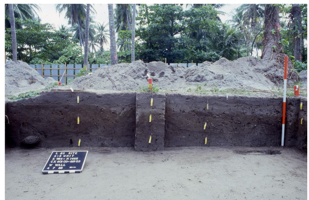 Fig. 3. Demarcation of wall profile’s stratigraphic layers rep- resenting three sequential occupation phases at the Taino Indigenous Mediania Alta and Vieques sites, Loiza, Puerto Rico (1987), Agelarakis, A. P., field director. 