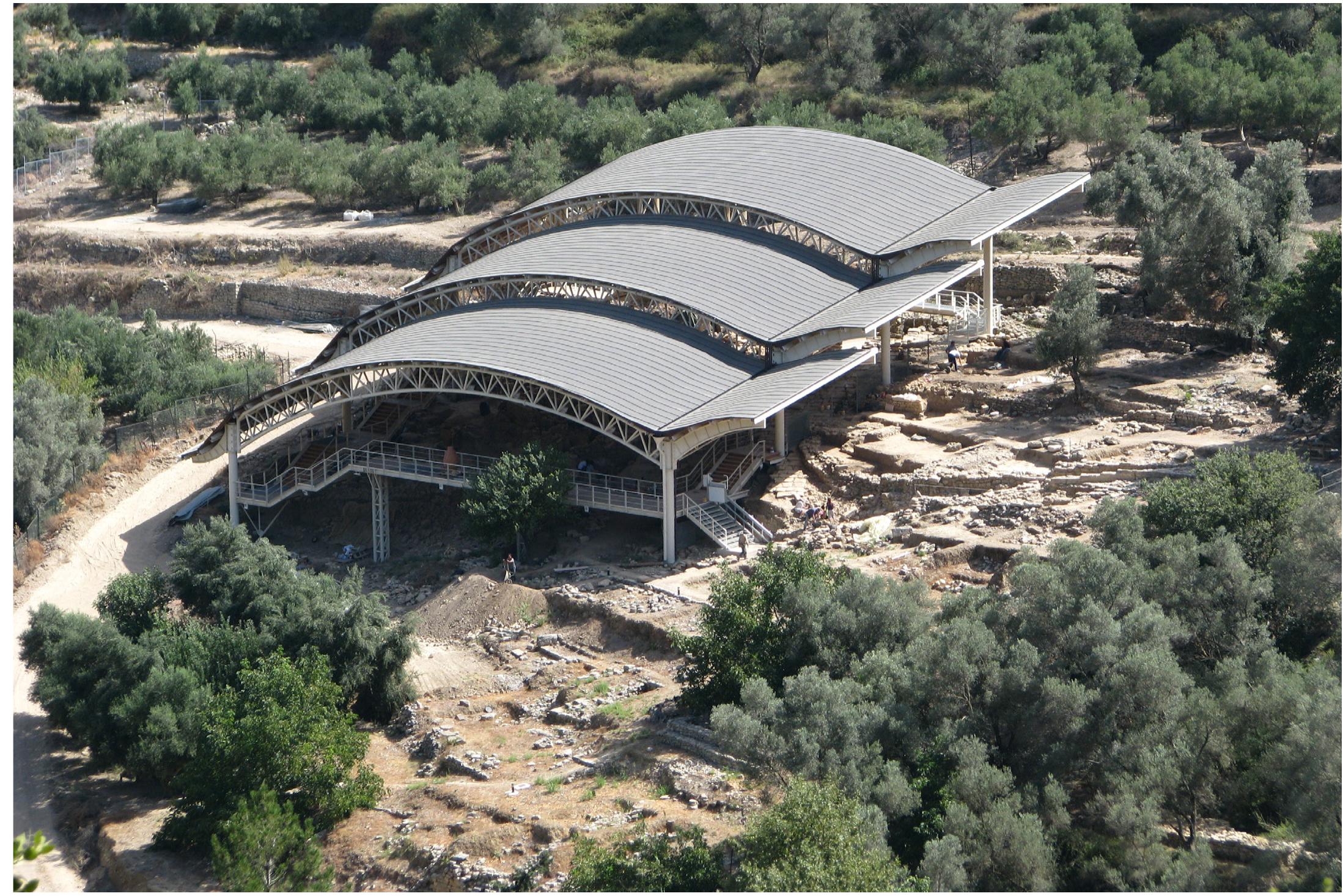 Fig. 4. View of the Orthi Petra burial ground, Eleutherna.  Allocated within the same grouping of type “I” was to be placed a separate wasp subcategory, which was subsequently designated as “la” The latter had been ini- tially perceived, in error, as digging wasps similar to those of type “I” They represented relatively comparable ro- bustness and body size, and they exhibited similar mo- dalities in digging their burrows. However, they were se- ecting to burrow at different /oci than the vertical walls which were otherwise dominated by the type “I” wasps. Namely, type “la” individuals were seeking sediments of a rather looser consistency at both nearly flatter to smooth- ly slopping surfaces, peripheral to the basal margins of vertical walls. Additional observations helped to deter- mine that “la” individuals were in fact a different type of   In further describing the diversity of digging wasps at Orthi Petra, it was possible to identify a new grouping, involving three additional variants designated as of type “IW, “lla", and “IIb” These wasps were featuring consider- able phenotypic differences to those of the “I” and “la” types, addressed above. Their body build was slender, two of them showing rather much elongated body forms comparatively speaking, and with a distinct variability in their body colorations with black and dark reddish/red- dish-brown for “II, and “Ila”, while “IIb” showed a shiny  
