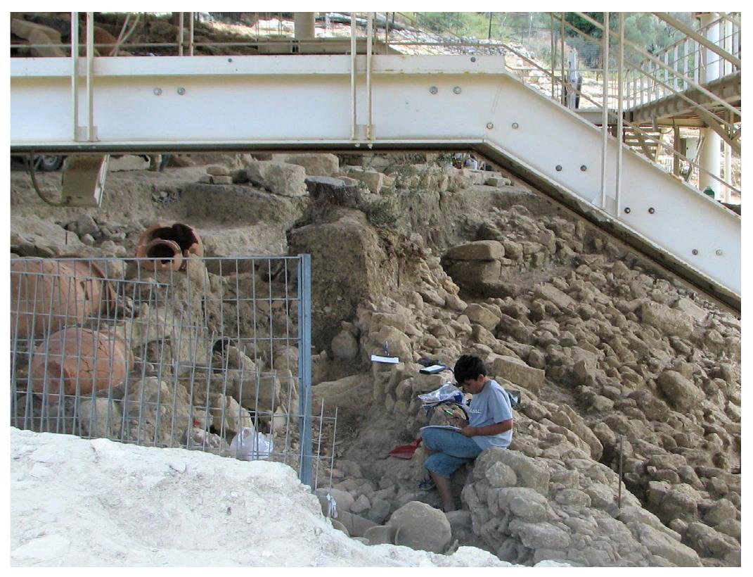 Fig. 5. The second author on duty at the site taking notes on wasp observations.  ticularly as they would take advantage of preexisting un- 