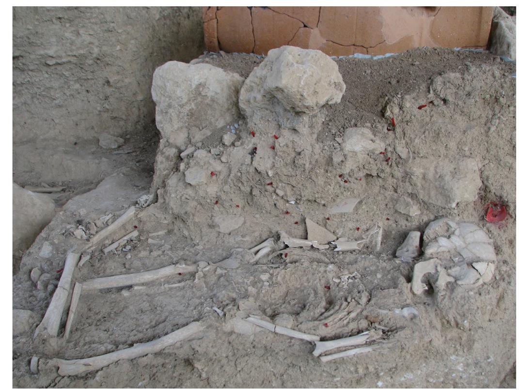 Fig. 28. Burial feature during the process of marking digger wasp burrows.  Furthermore, given the bioarcnaeological focus of the authors at the site, it was apprehensive to observe that there were a number of active burrows within buri- al features, especially by Bembix oculata and Sphex funer- arius, presenting cases of potential contamination. While those could be visually identified and circumvented in sediment samplings relative to archaeometric studies, older and macroscopically non-discernible nesting bur- rows could not necessarily be avoided; presenting chal- lenges for example in efforts to recover traces of dietary pollen through retrieving select''®, and random compar- ative sediment samples for pollen spectra.  dollen through retrieving select''®, and random compar- 
