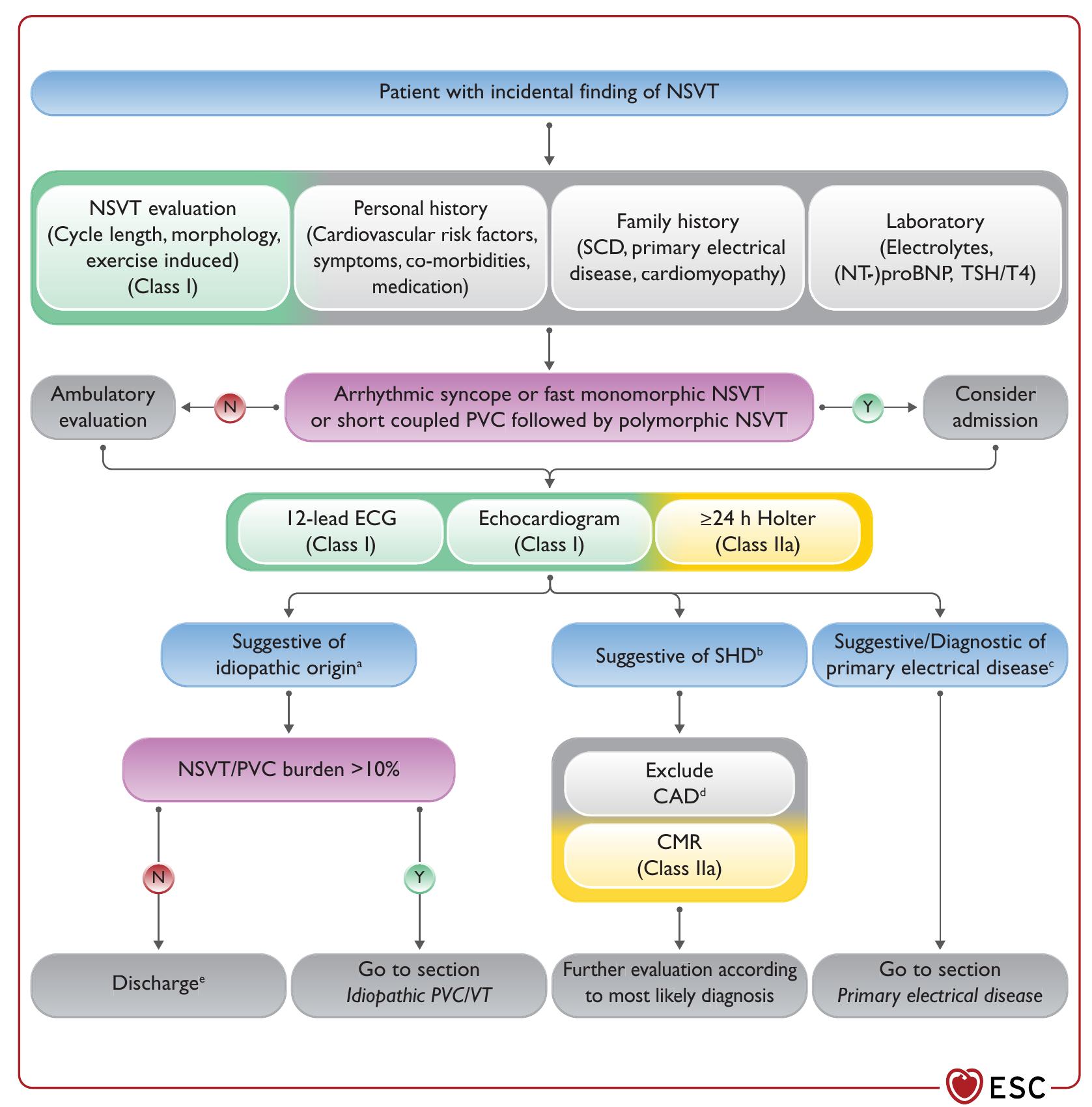 Pvc Origination Algorithm (PDF) 2022 ESC Guidelines for the management of patients with ...