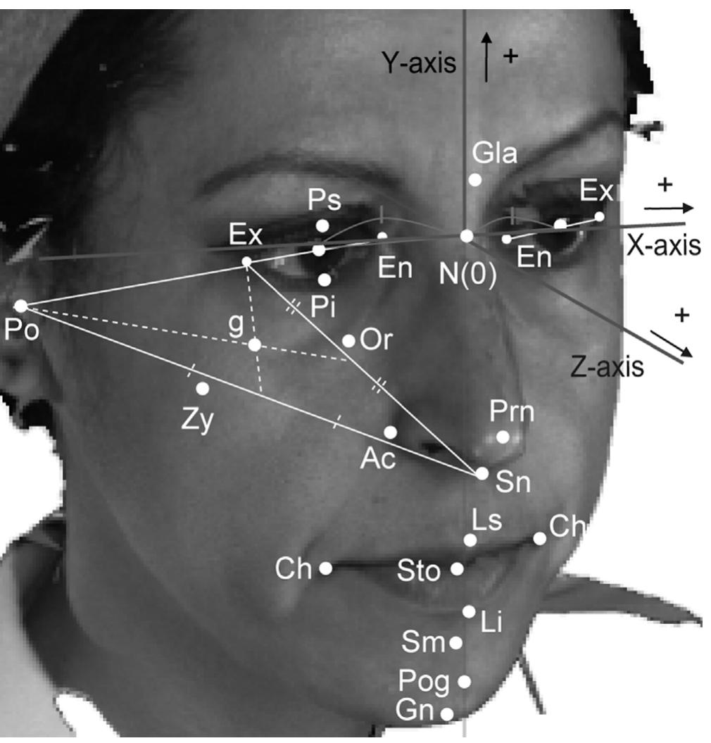 Dimorphism In Humans (PDF) Sexual dimorphism in the facial morphology of adult humans: A ...