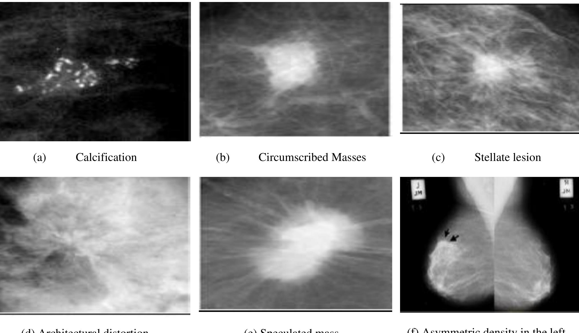Distributed, and more uniform in shape and size. the