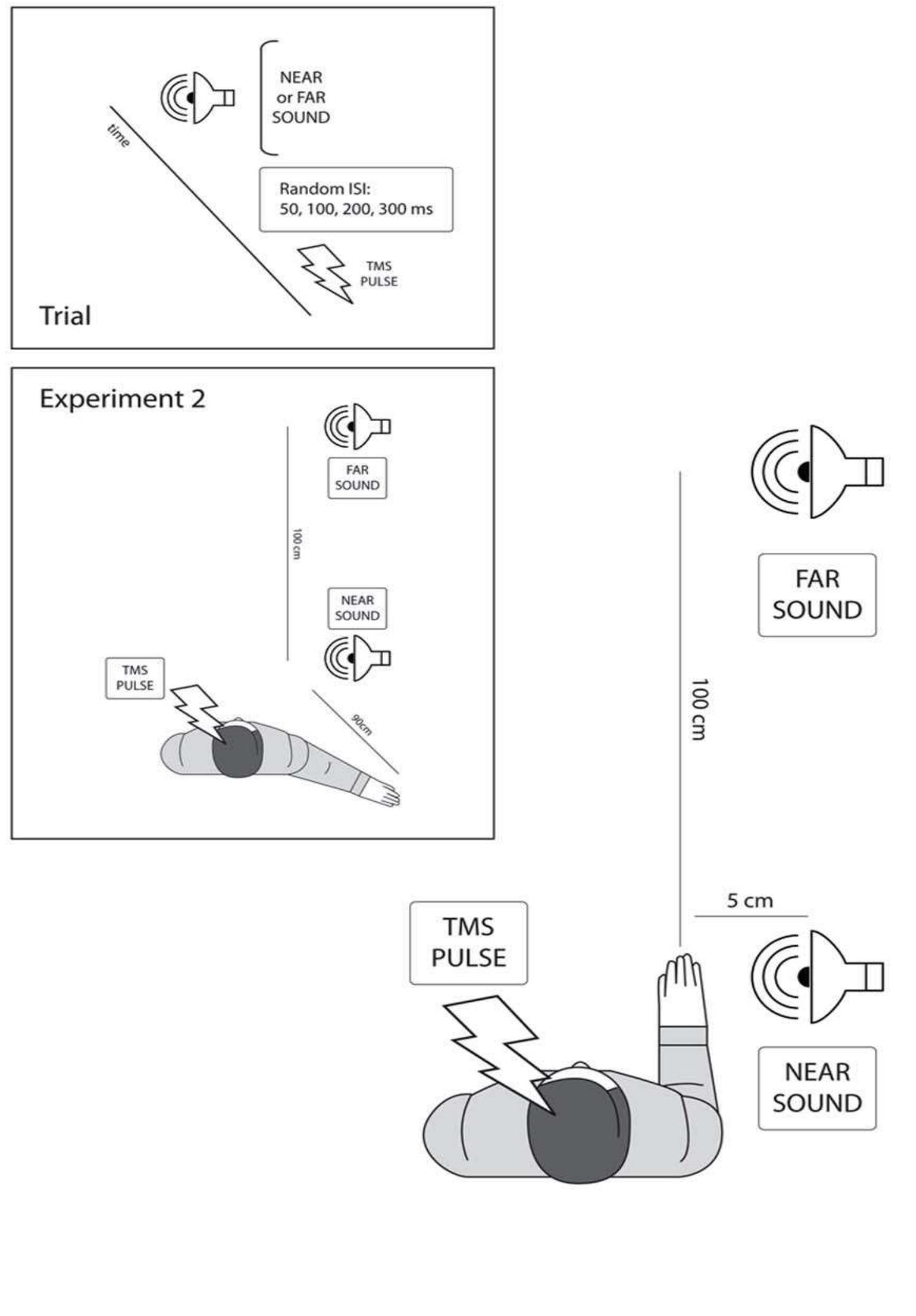 Figure 2.1 .Experimental set up. The main panel represents the experimental set up and a typical subject during Experiment 1. The small upper panel represents the sequence of events in each trial. The small lower panel represents a typical subject during Experiment 2, when participants placed their right arm to the side, with the hand pointing backwards (far from the source of near sounds). (Adapted from Serino et al., 2009). 