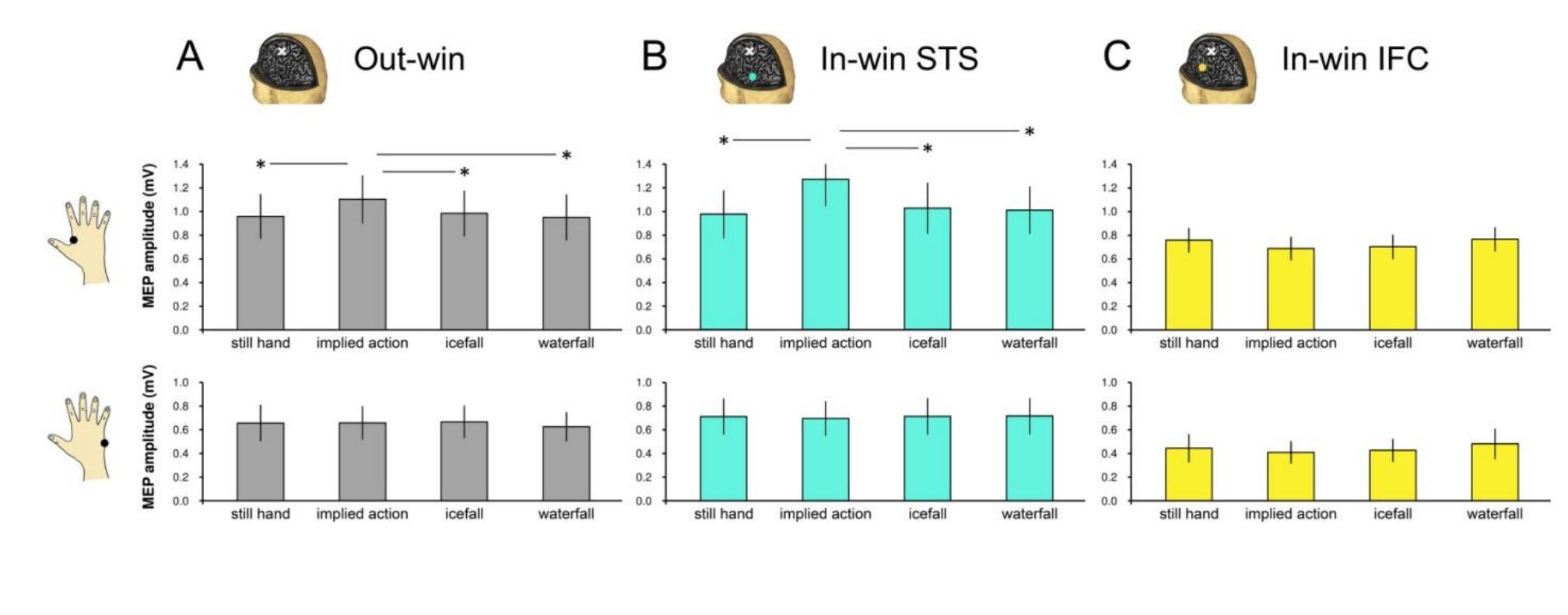 Figure 4.3. MEPs recorded from the FDI (top) and the ADM (bottom) muscle in the 3 different spTMS sessions. (A) Out-win, (B) In-win STS, and (C) In-win IFC. Asterisks indicate significant post hoc comparisons. Only within  sessions, comparisons are represented, see main text for further pairwise comparisons between sessions. Error bars denote SEM. (Adapted from Avenanti et al., 2012b)  non-body stimuli either in the Out-win or in the In-win sessions. 