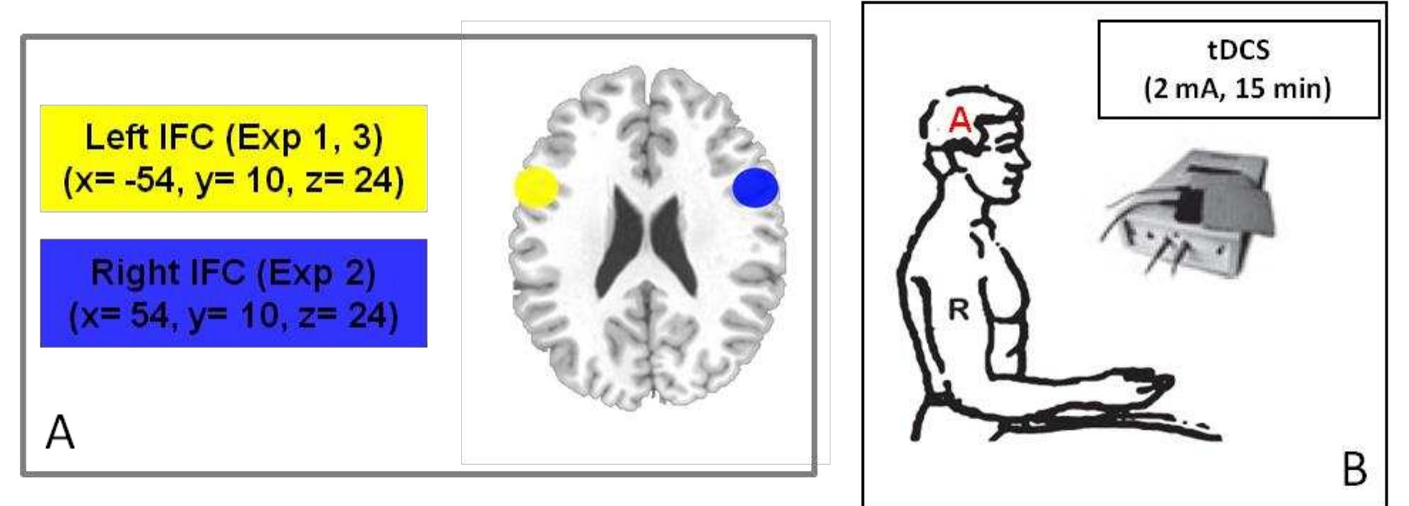 Figure 5. 3. The panel A illustrates the Talairach coordinates of IFC in both hemispheres. The panel B illustrates parameters of tDCS and a schematic representation of monopolar montage with the active electrode (A) positioned over the left or right IFC and the extracephalic reference electrode (R) over the contralateral deltoid muscle.  = 10.1 + 0.76; z = 24.2 + 0.41 in Experiment 3.  Experiment 1, x = 55.3 + 1.68; y = 10 + 0.58; z = 24.5 + 0.78 in Experiment 2 and x = -54 + 1.48; 