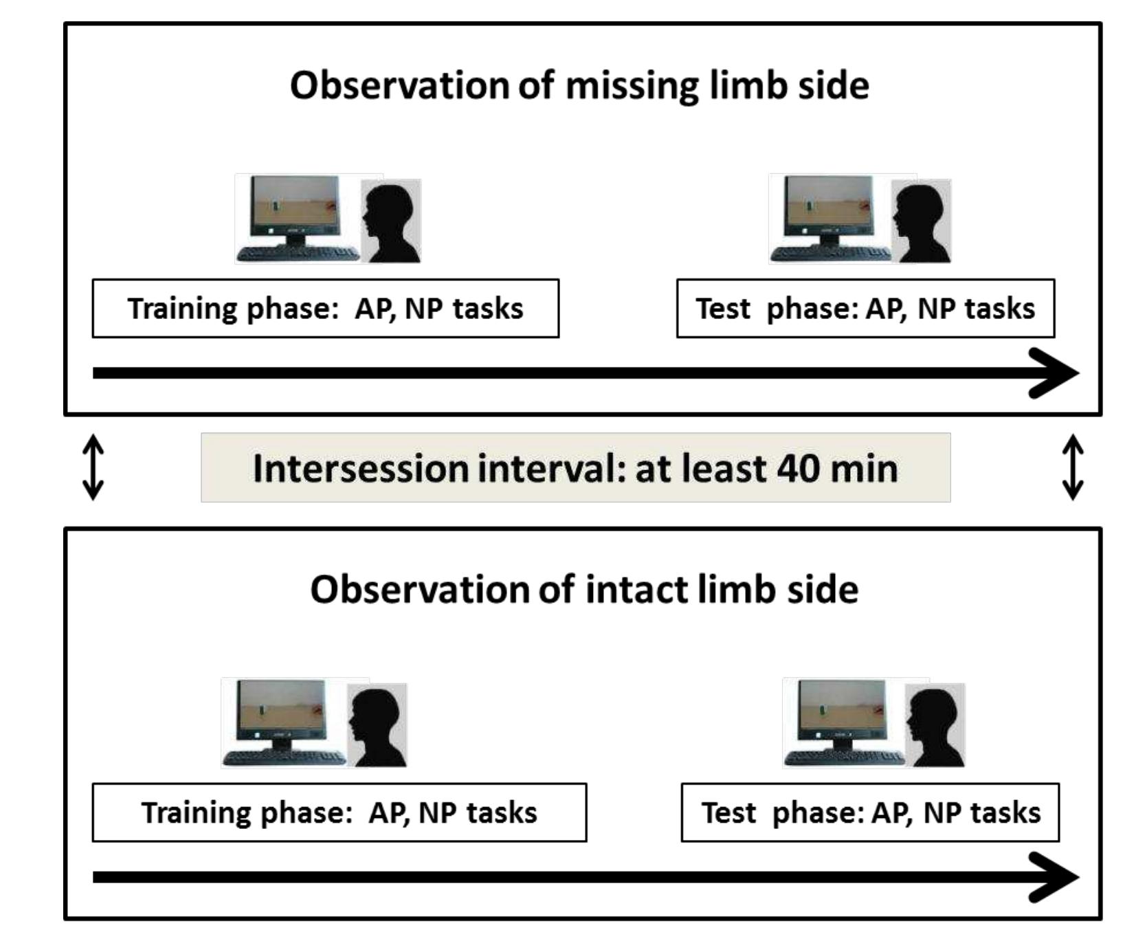 Figure 6.1. Schematic representation of the experimental design.  right-side videos were tested in two separate sessions whose order was counterbalanced acros: 