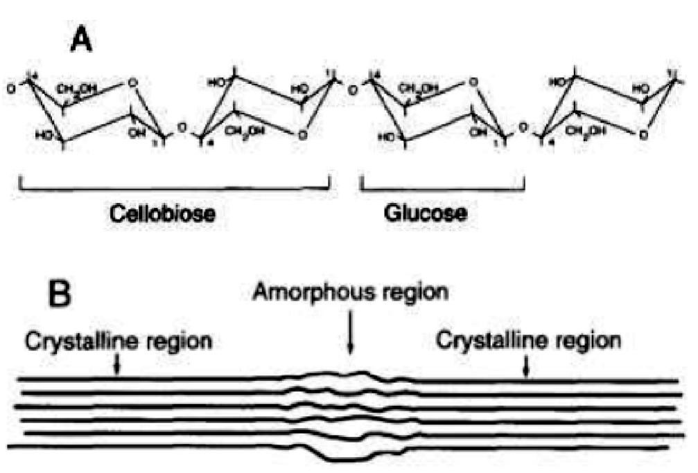 (PDF) Biodegradation study of cellulose bearing synthetic wastewater in ...