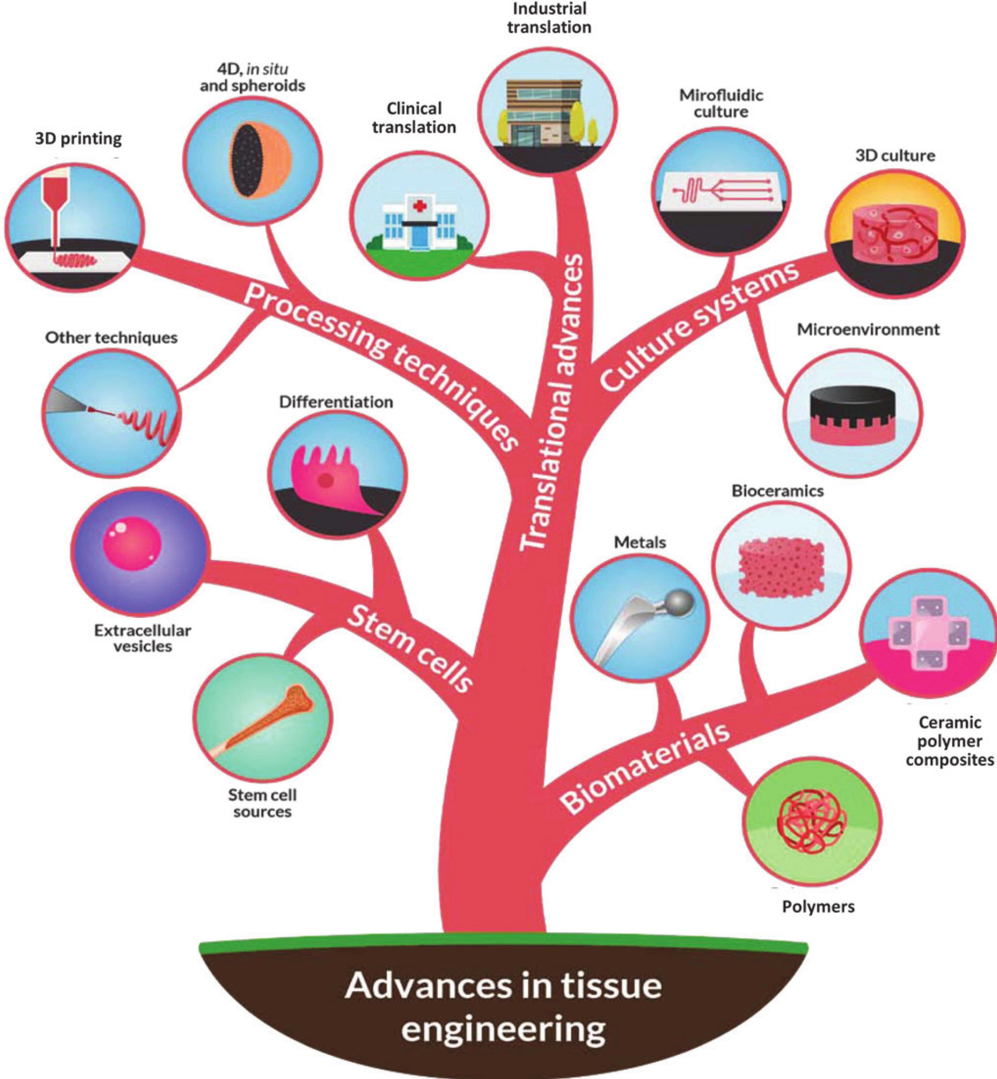 (PDF) Highlights on Advancing Frontiers in Tissue Engineering