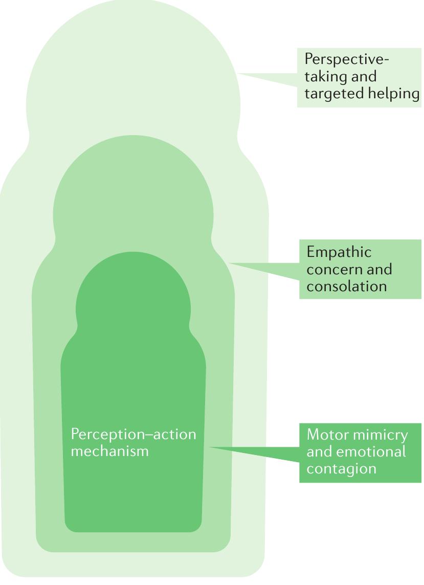 (PDF) Mammalian empathy: behavioural manifestations and neural basis