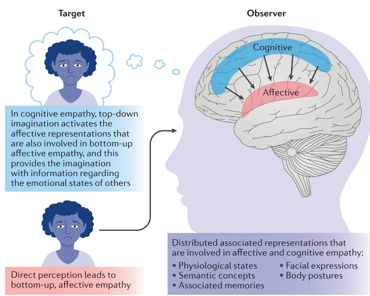 Sentient Empathy (PDF) Mammalian empathy: behavioural manifestations and neural basis