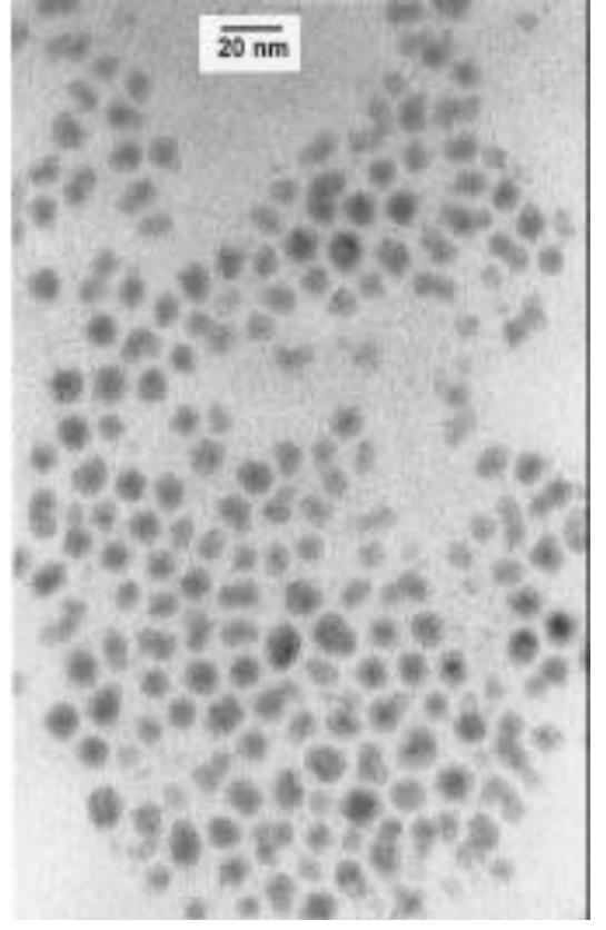 Figure 9. Transmission electron micrograph of sonochemically-prepared iron colloid stabilized by oleic acid [31].  Sonochemical decomposition of iron pentacarbonyl in the presence of stabilizers such as polyvinylpyrrolidone or oleic acid produced a colloid of nanometer sized iron particles [31]. Transmission electron micrographs show that the iron particles have a relatively narrow range in size from 3 to 8 nm for polyvinylpyrrolidone, while oleic acid gives an even more uniform distribution at 8 nm (Figure 9). Electron microdiffraction revealed that the particles are amorphous on the nanometer scale as formed and that after in situ electron beam heating these particles  crystallize to bec iron. 