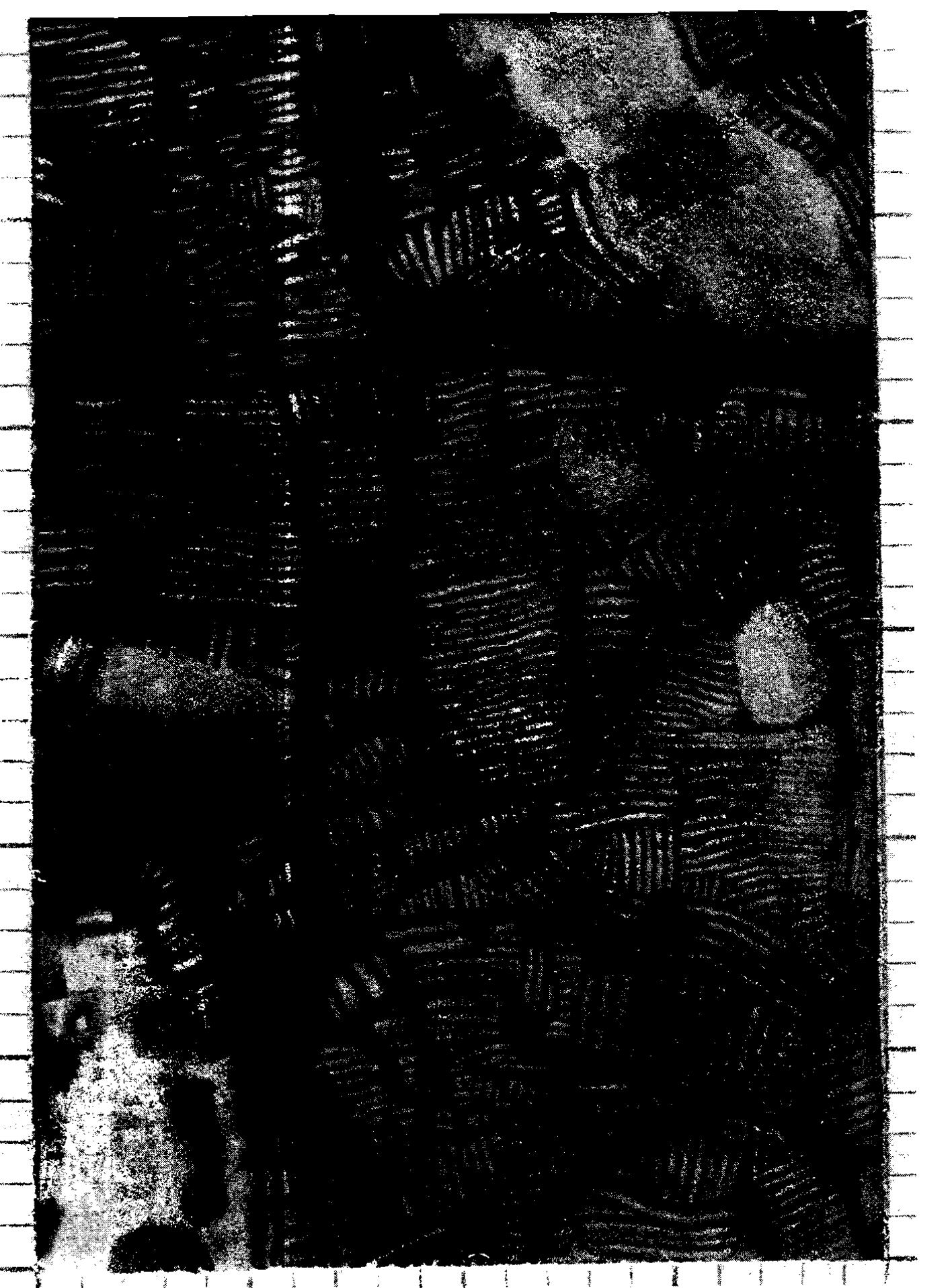 6.4. Raised field platforms (light colored strips) and prehispanic occupation mounds (upper right and lower left) in the shallows of Lake Titicaca. 