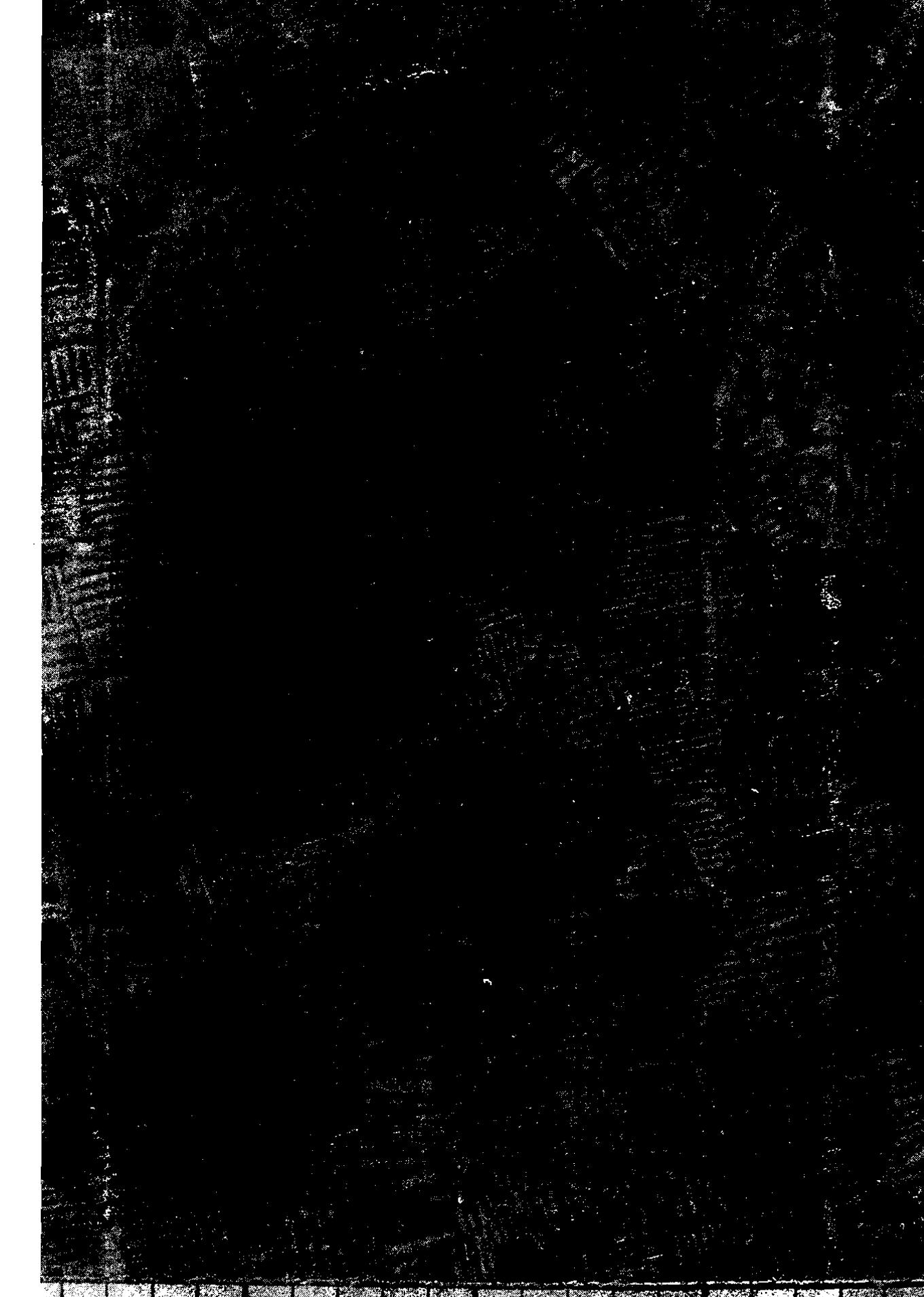 6.5. Highly patterned raised fields in Viscachani Pampa. The long dark linear.  features are large canals which divide up the blocks of raised fields into larger units. 