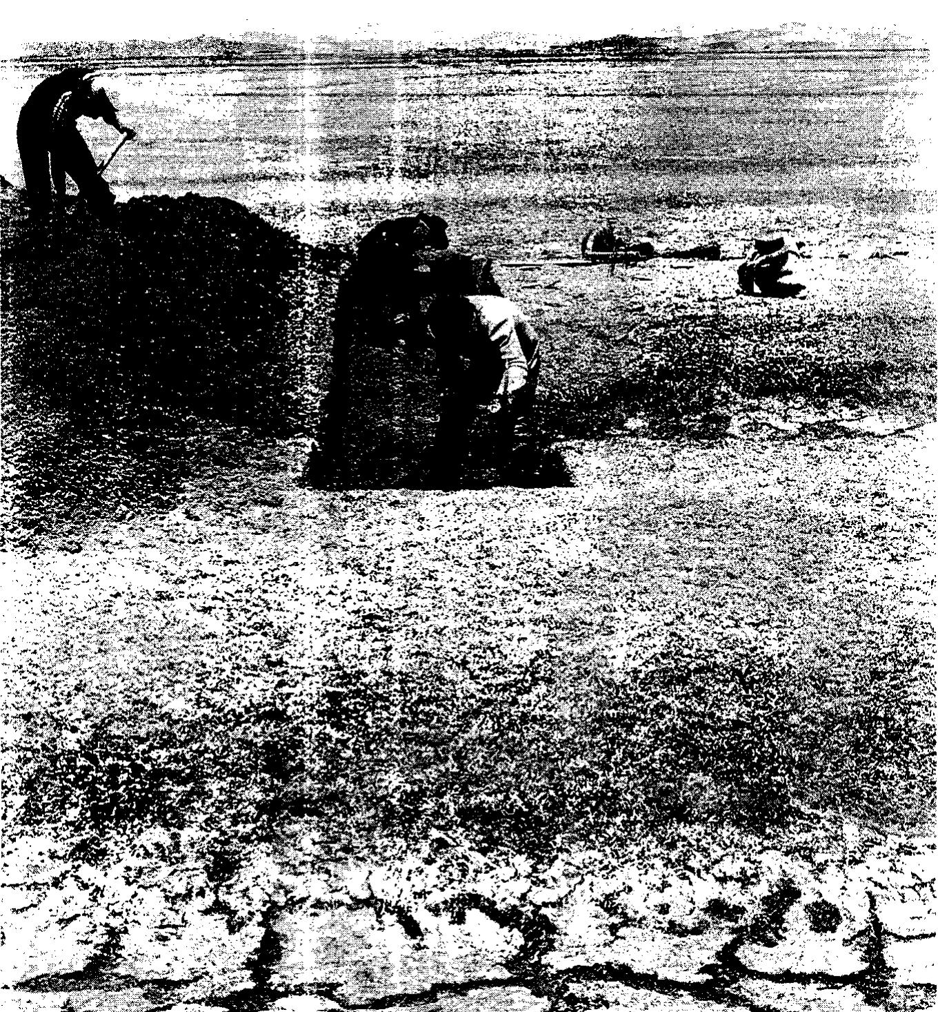 6.7. Excavations of trenches in raised fields. 