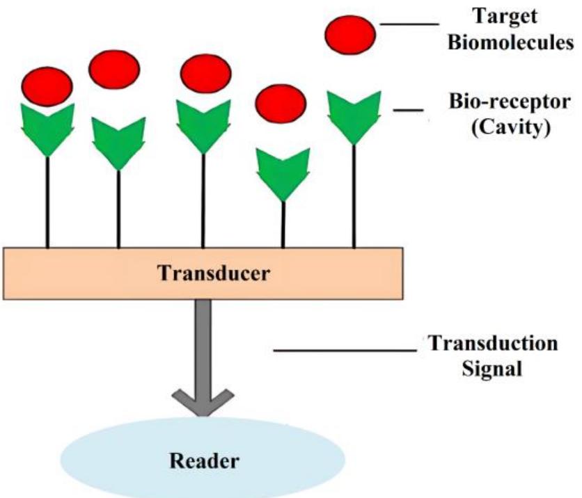 (PDF) Design and Development of Biosensors Based on Nano Tube Tunnel ...