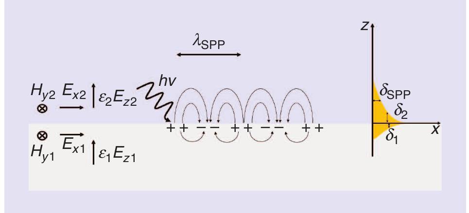 PDF) Surface Plasmons-Polaritons, Surface Waves, and Zenneck