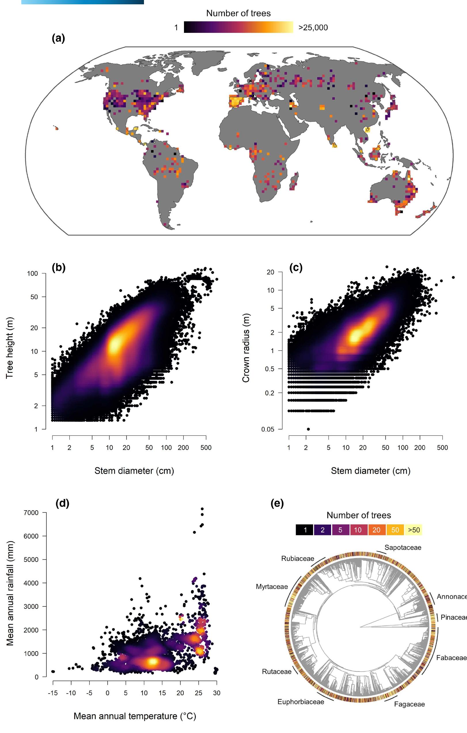 (PDF) Tallo: A global tree allometry and crown architecture database