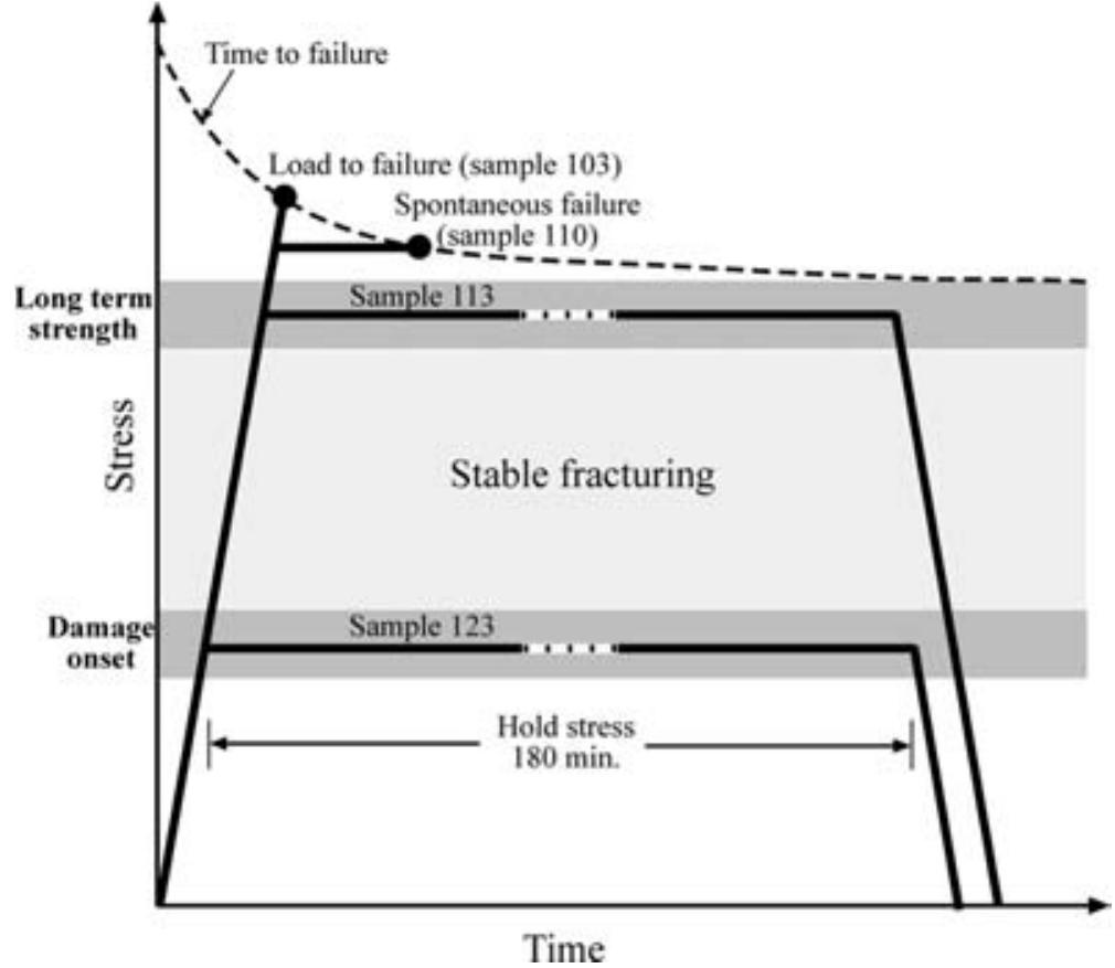 Schematic diagram of the loading and types of experiments.