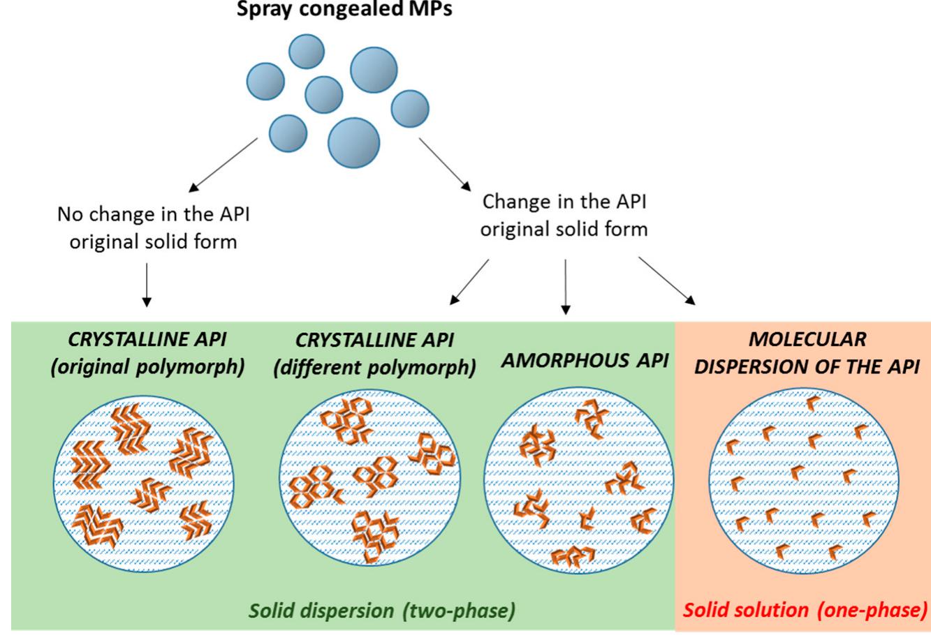 Possible mechanisms of segregation in drug/polyethylene