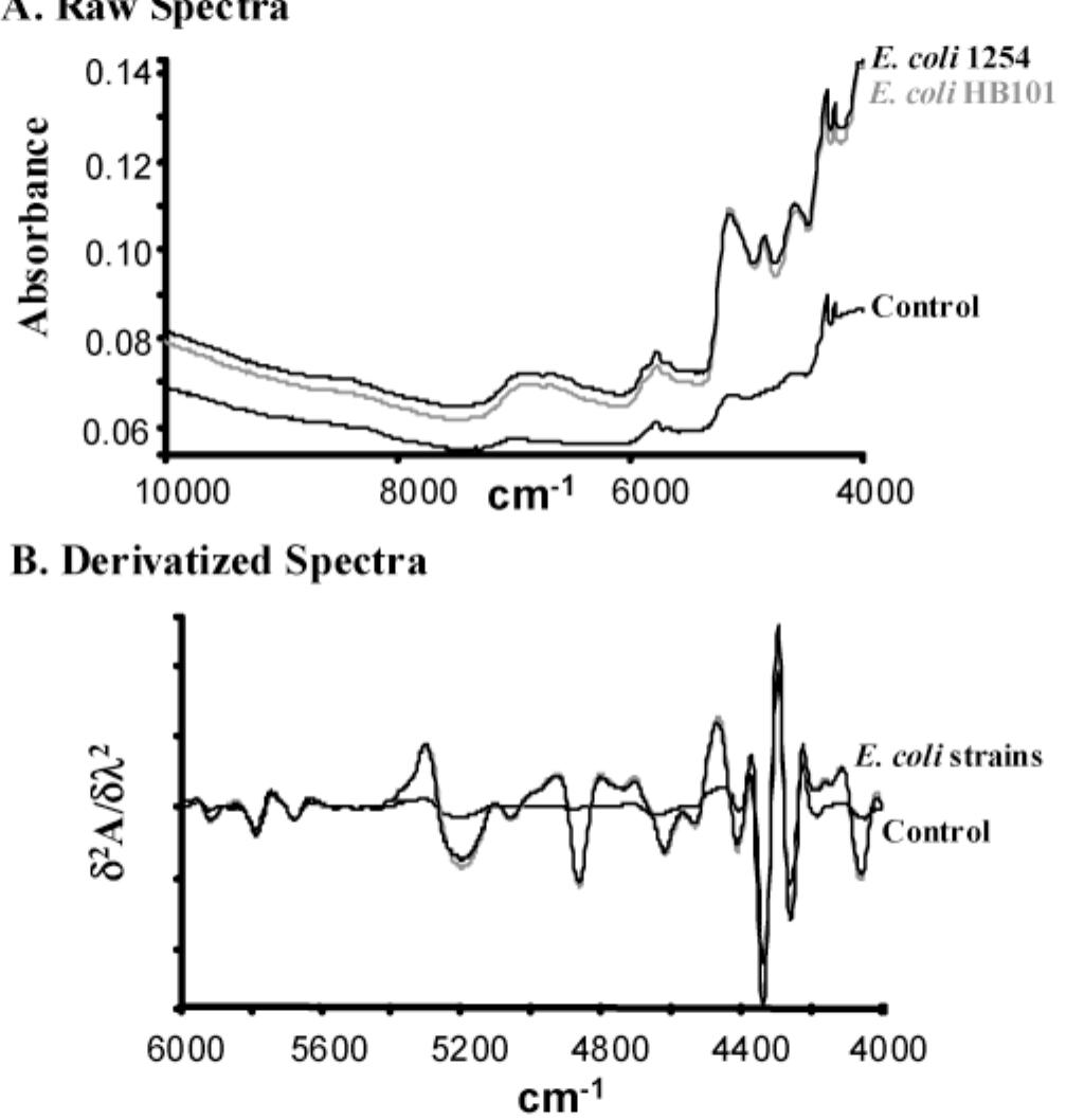 (PDF) Detection and Identification of Bacteria in a Juice Matrix with ...