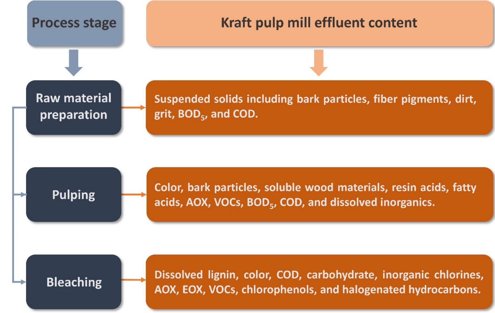 (PDF) Minimization of Environmental Impact of Kraft Pulp Mill Effluents ...