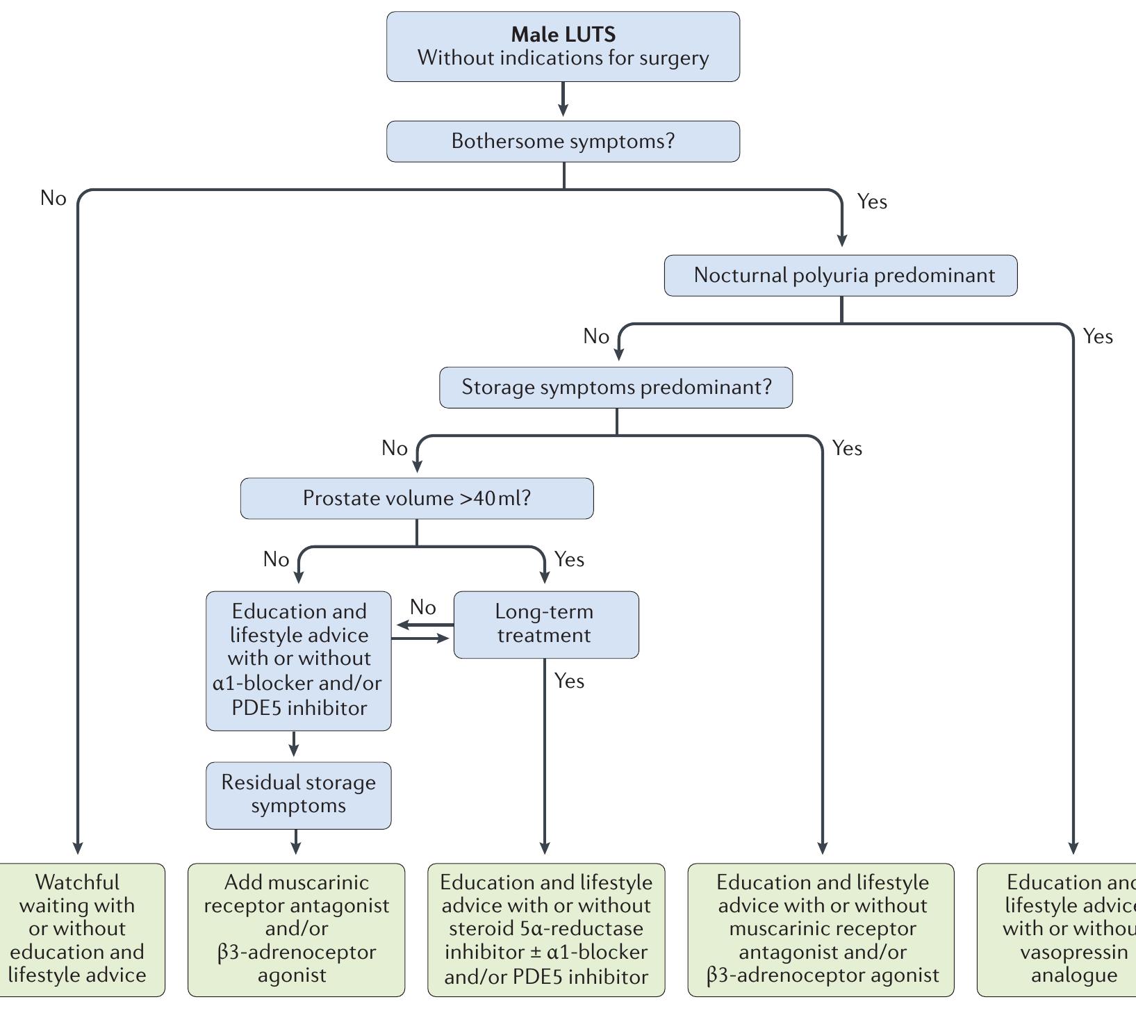 (PDF) Benign prostatic hyperplasia