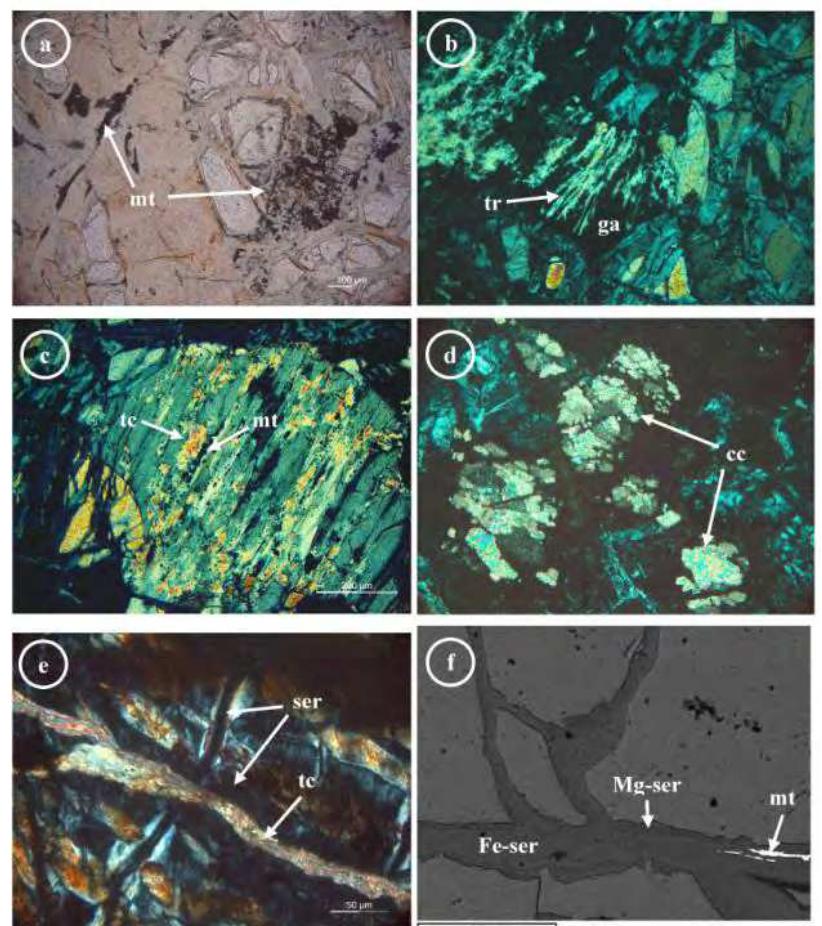 Rimed Rocks (PDF) Petrological implications for the production of methane and ...