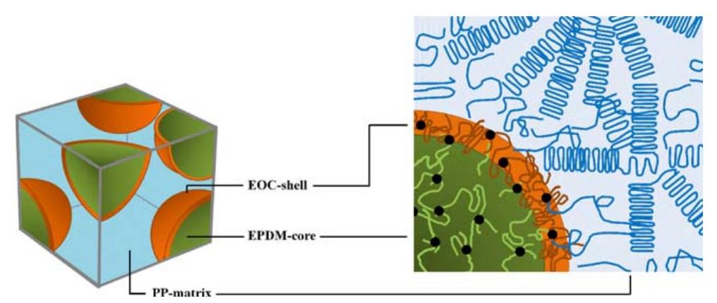 Encapsulation Shell Core-shell structures of the dispersed epdm/eoc particles in
