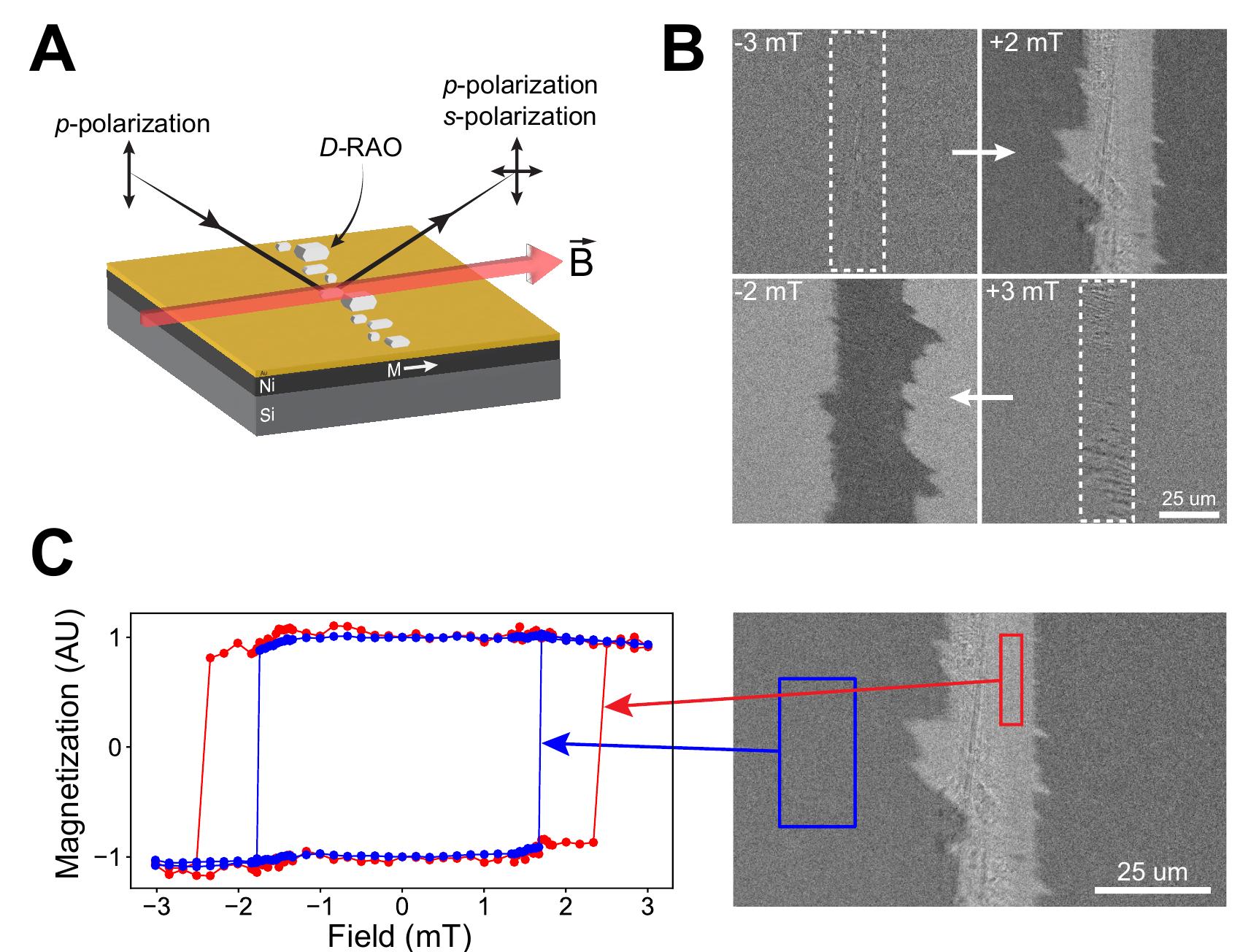 With a magneto-optical kerr effect (moke) microscope,