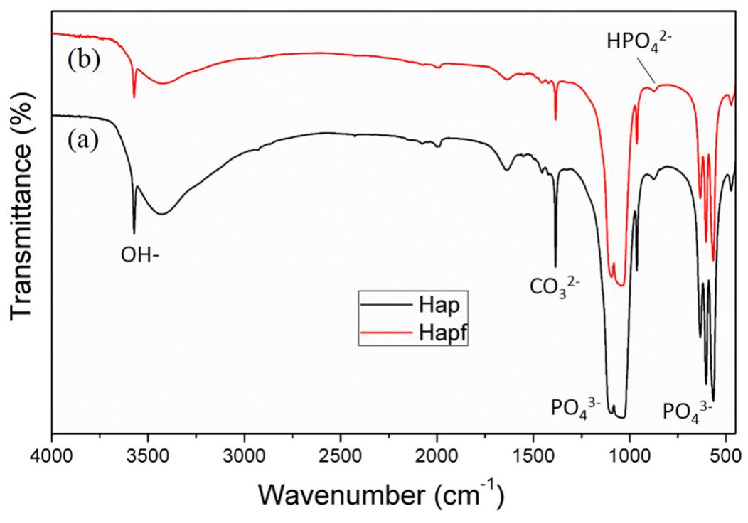 Ft-ir spectra of hap (a) and hapf (b) particles.