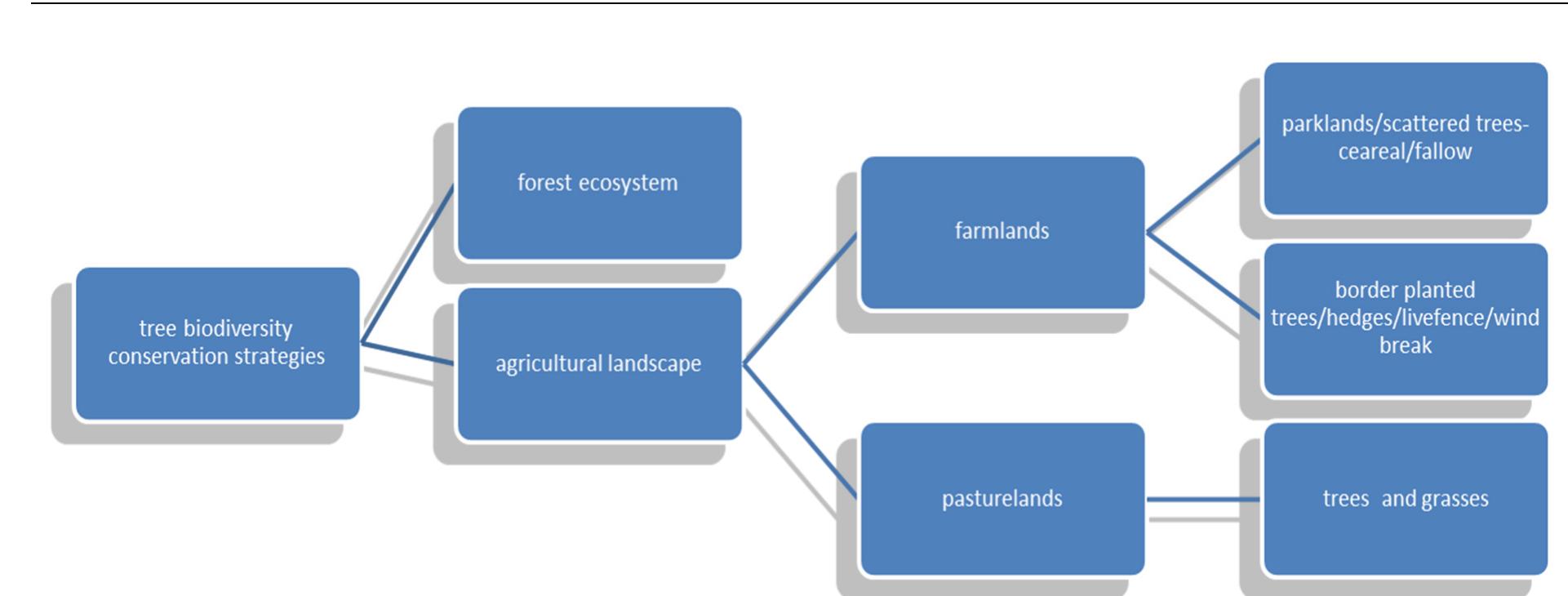(PDF) Review on the Role of Parkland Agro Forestry in Agricultural ...