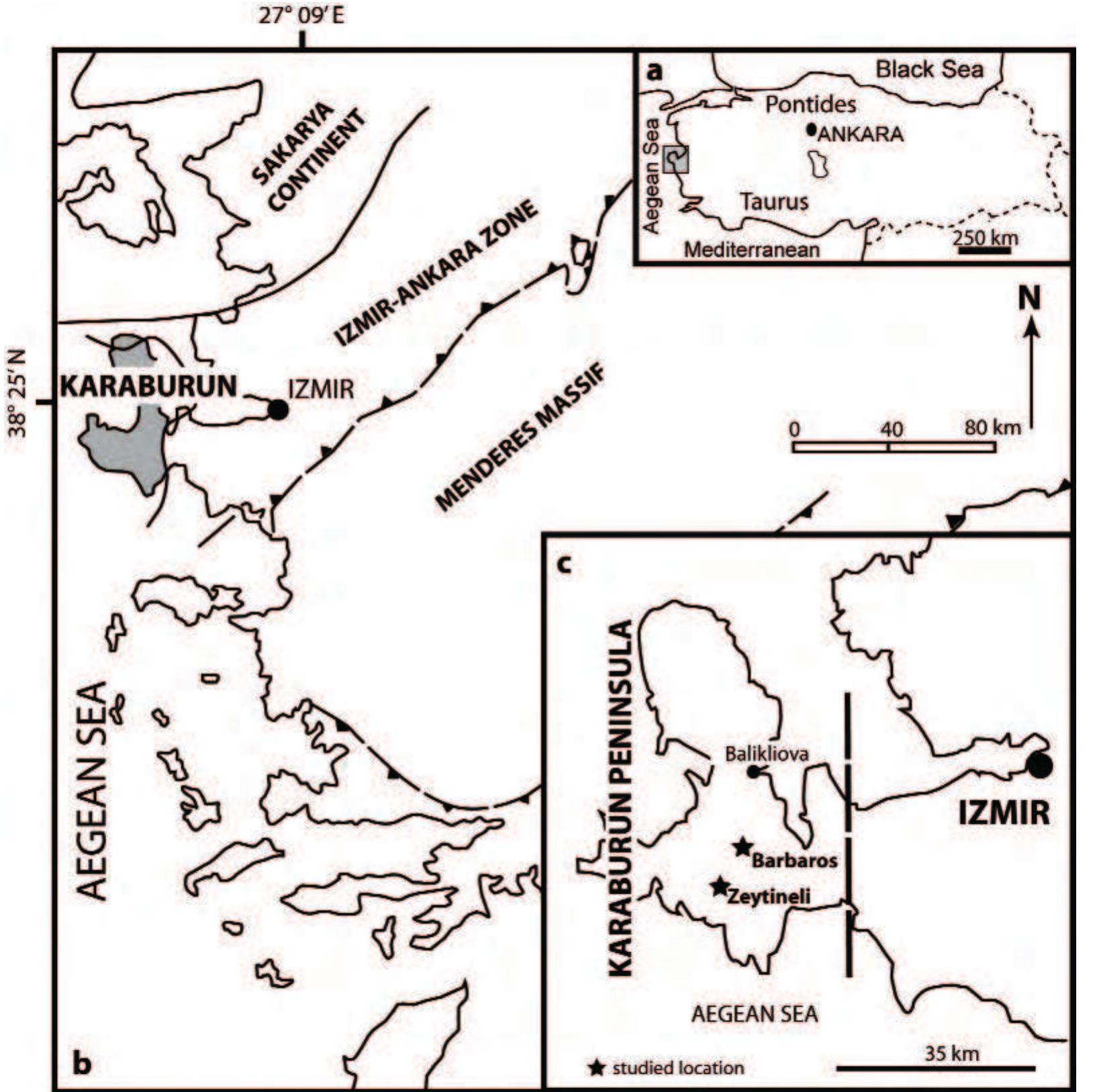 (PDF) Albian Rudist Fauna from the Karaburun Peninsula, İzmir Region ...