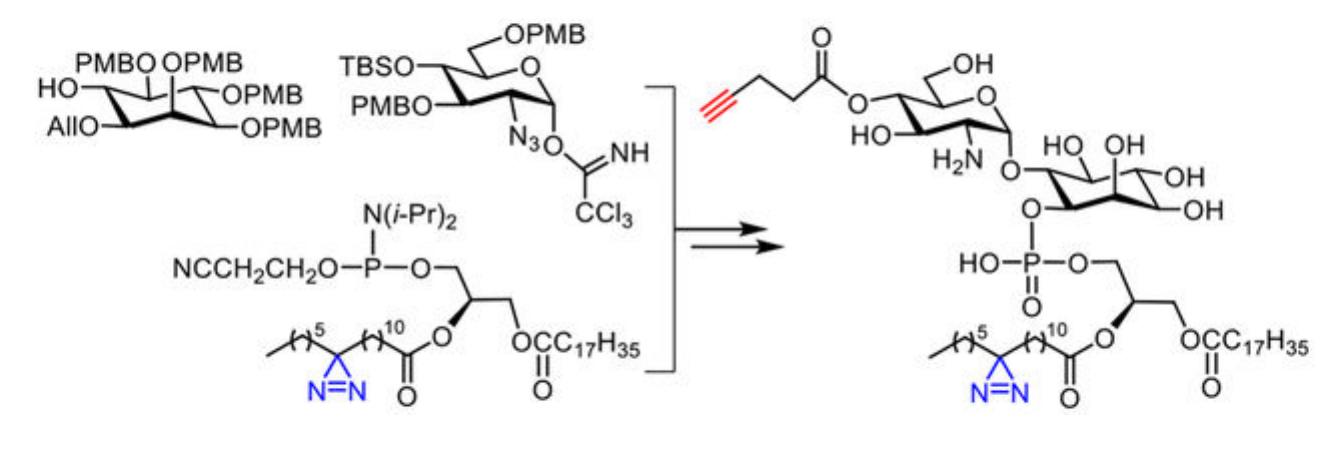 (PDF) Design and Synthesis of a Doubly Functionalized Core Structure of ...