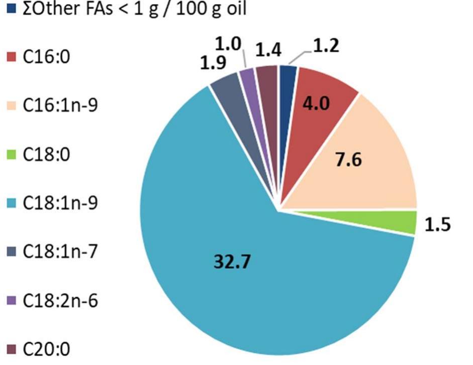 (PDF) Identification and quantification of fatty acids in nut oils by GC-MS