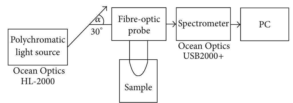 FIGURE 1: Scheme of the experimental setup for characterization of U-shaped probes. 