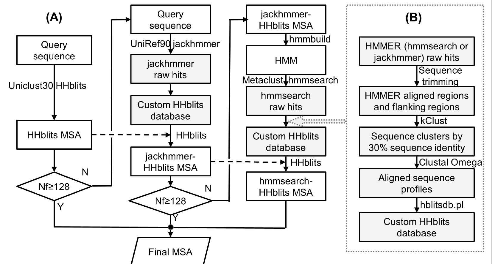 (a) flowchart of deepmsa. three stages of msa generations