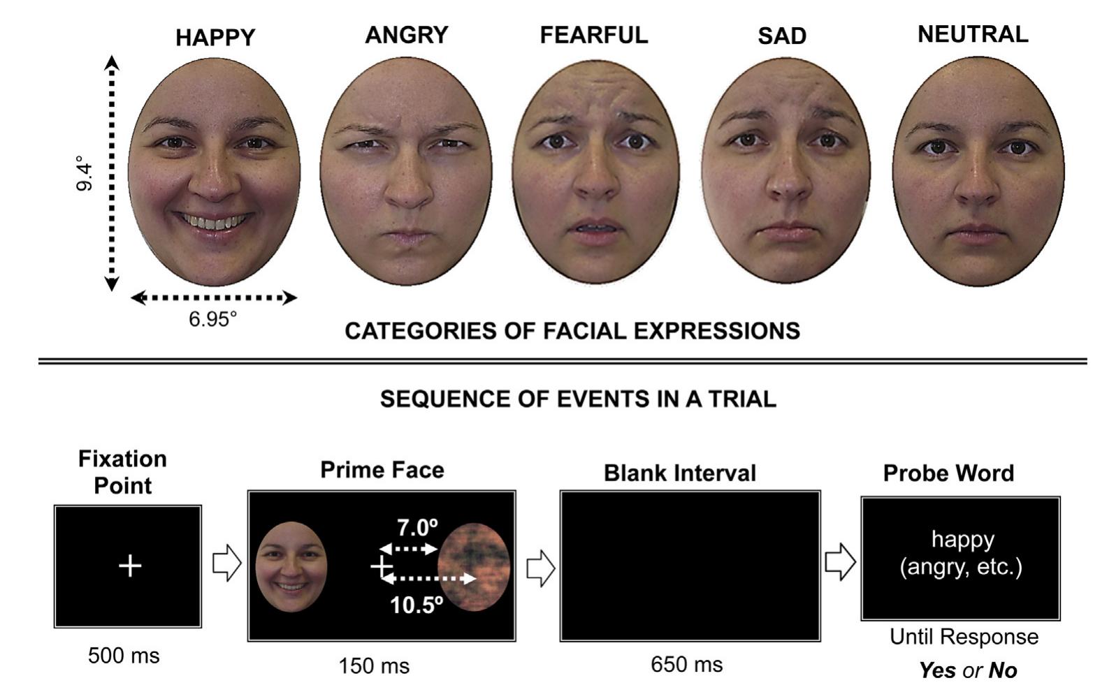 Processing Expression Face Figure 2 - Processing of facial expressions in peripheral