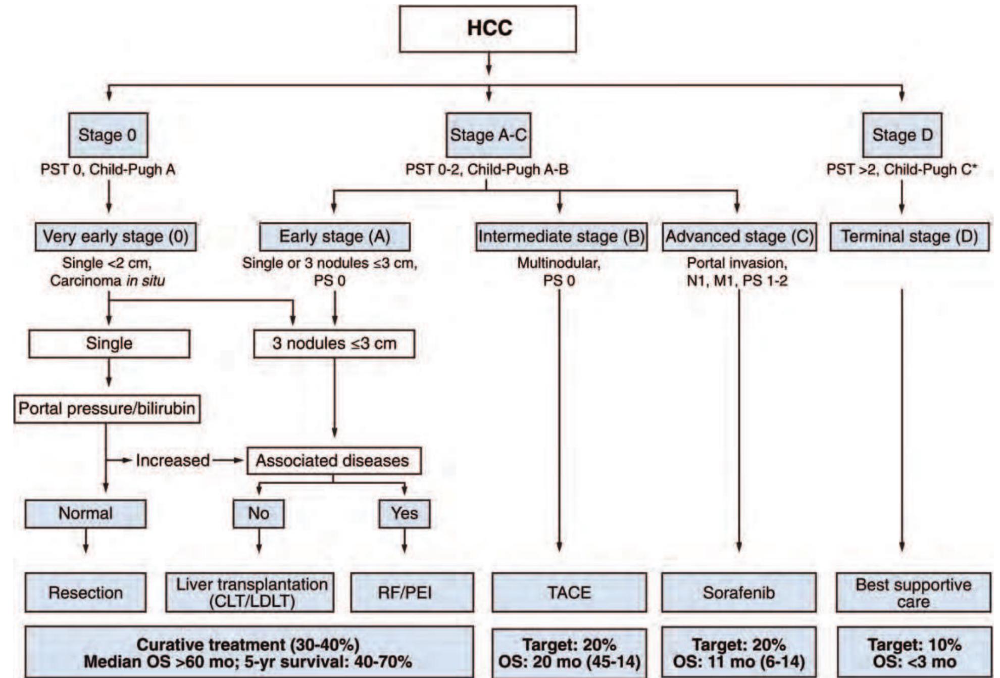 Hcc Algorithm Management (PDF) Multidisciplinary approach for HCC patients: hepatology for the ...