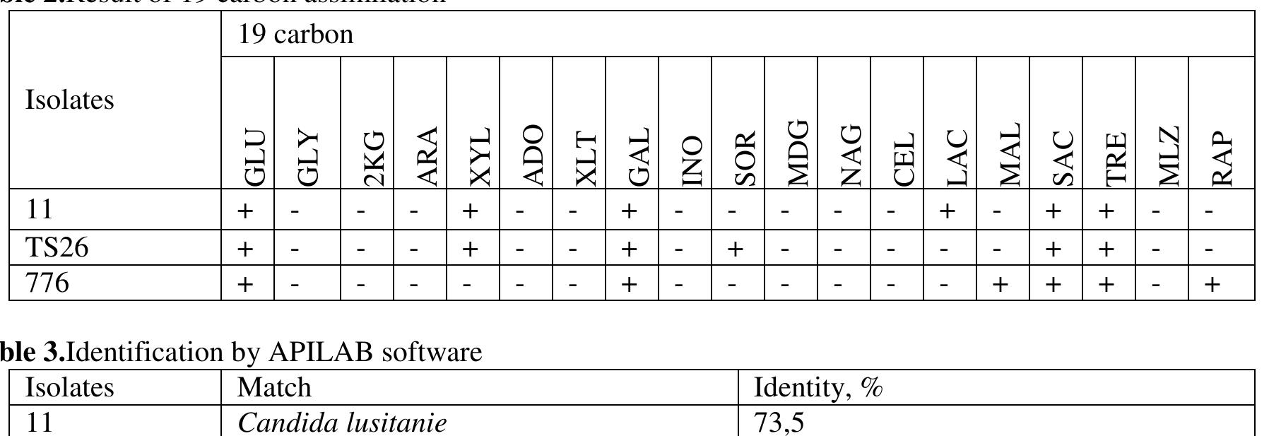 (PDF) Isolation and identification of yeasts fromairag (koumiss) and ...