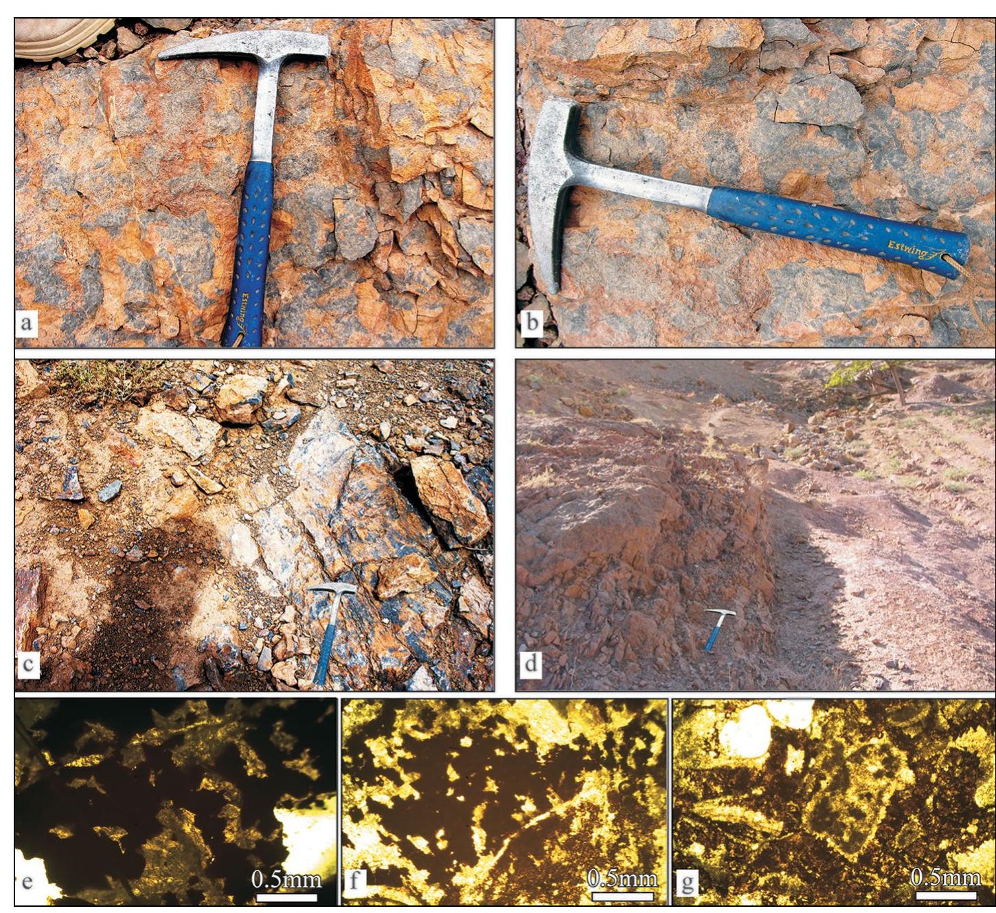 Figure 10 - The Microfacies, Sequence Stratigraphy and