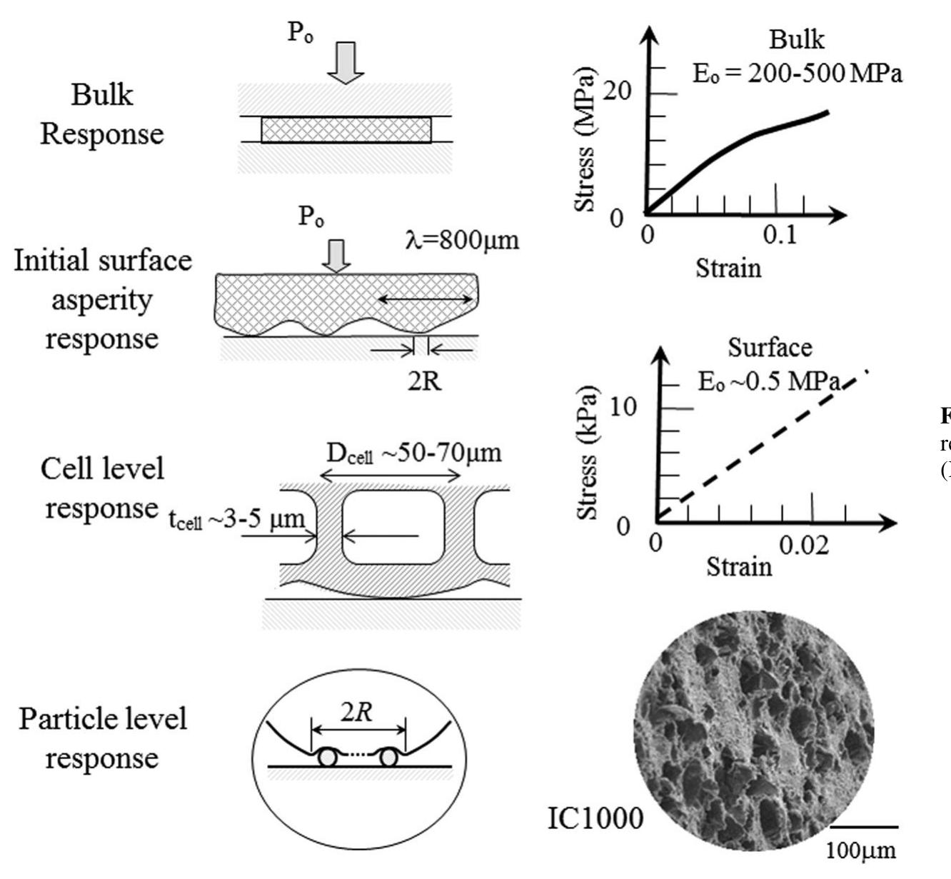 (PDF) A Quantitative Analysis of Multi-Scale Response of CMP Pad and ...