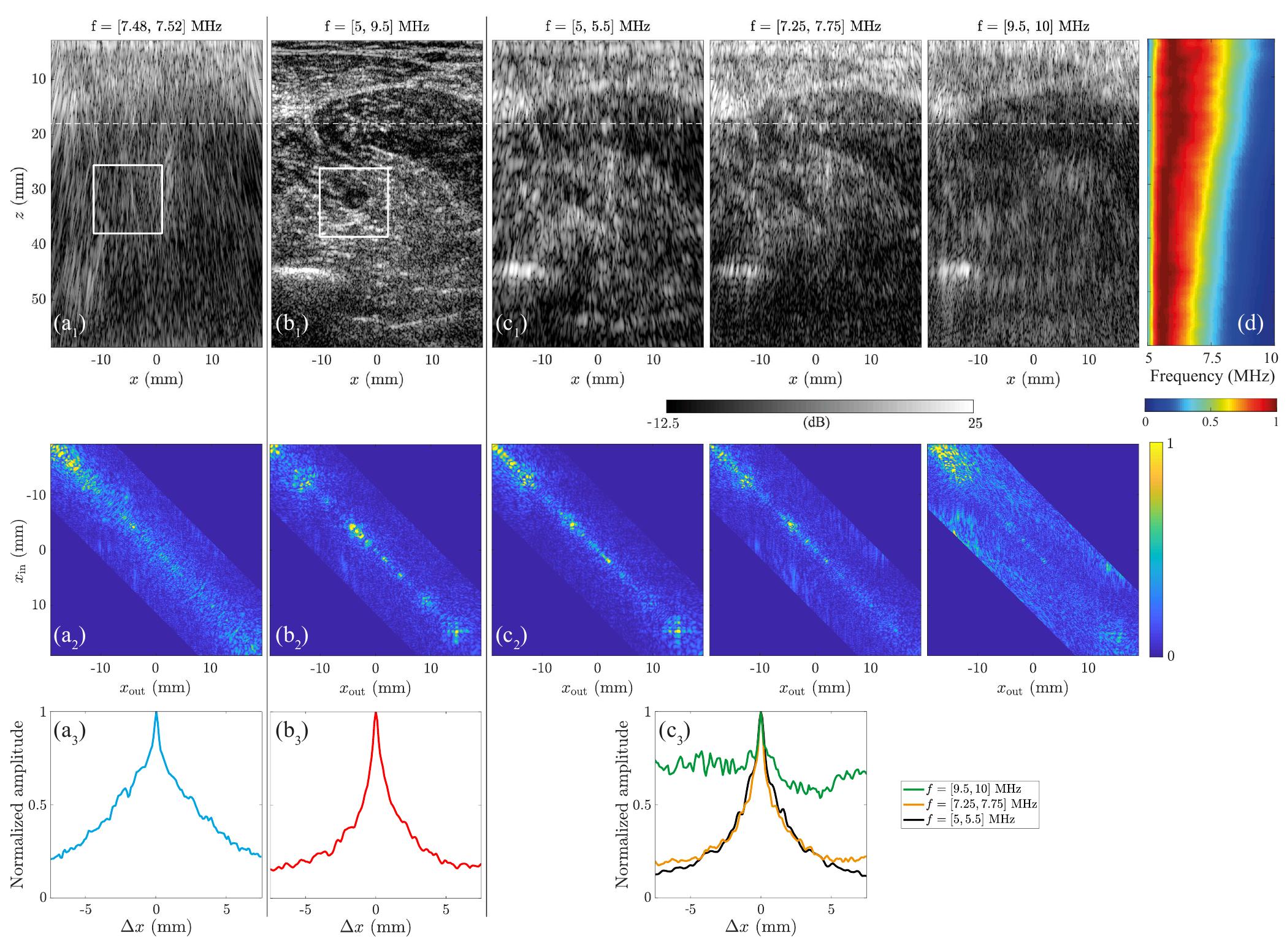 (PDF) Ultrasound Matrix Imaging—Part I: The Focused Reflection Matrix ...