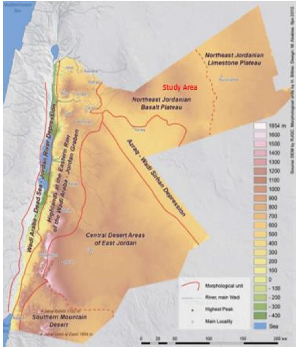 (PDF) Assessing the small ruminant value chain in arid regions: A case ...