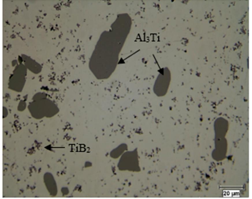 Optical micrograph revealing the microstructure of the