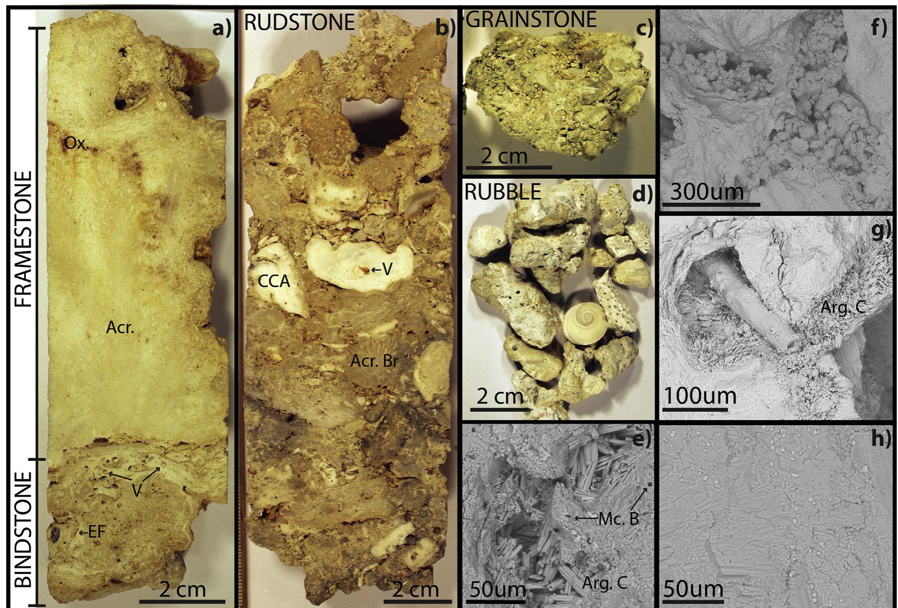 Rubble Label Figure 4 - from Spur and groove morphology from a Late