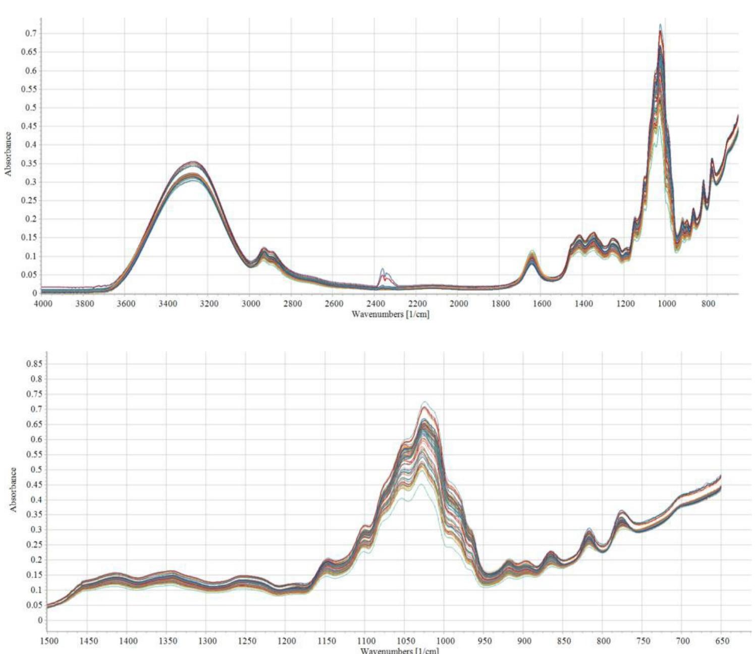 The ftir spectra of honey samples of different botanical