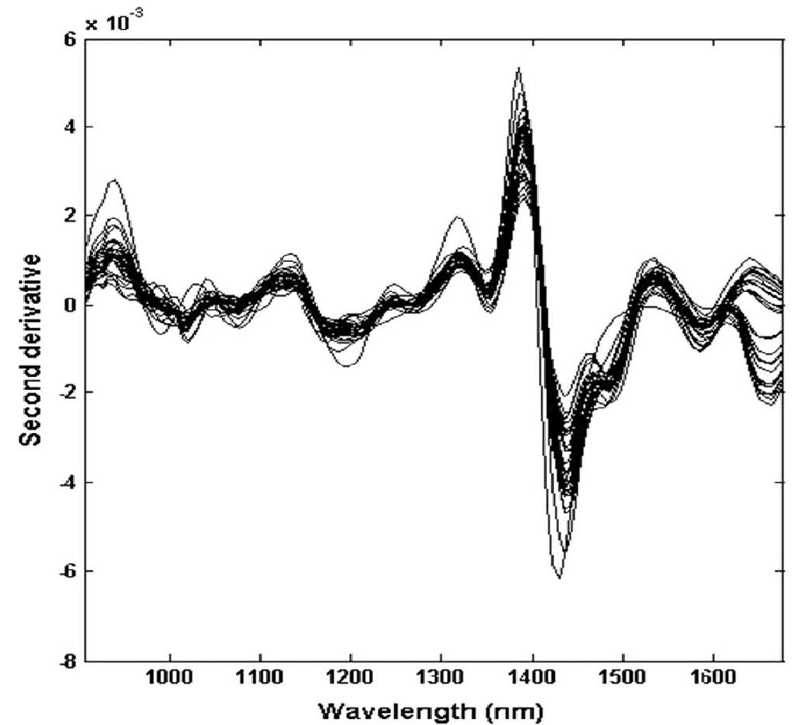 The ftir spectra of honey samples of different botanical