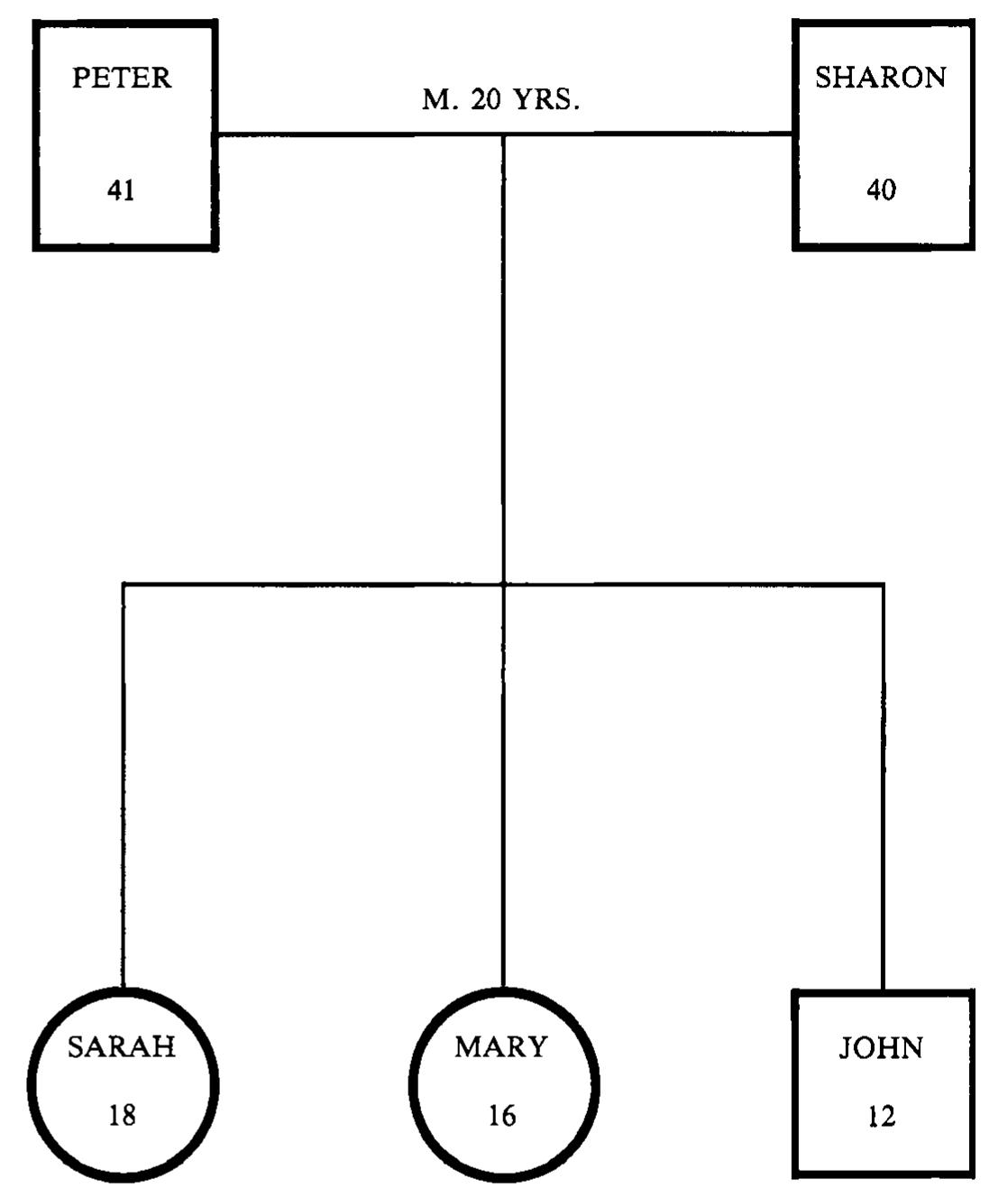 (PDF) Theory and Practice of Structural Family Therapy: Illustration ...