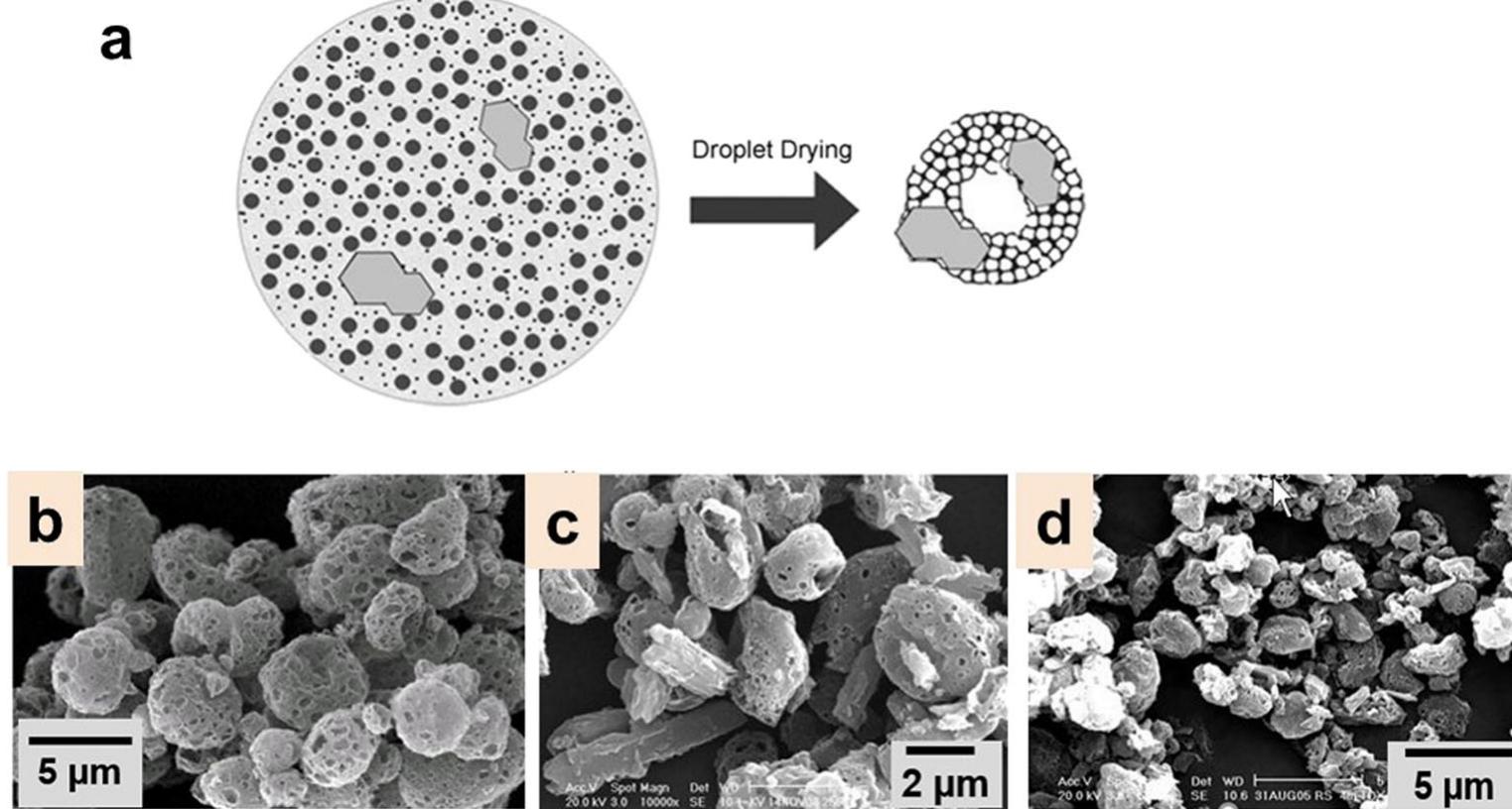 (PDF) Spray-Dried PulmoSphere™ Formulations for Inhalation Comprising ...